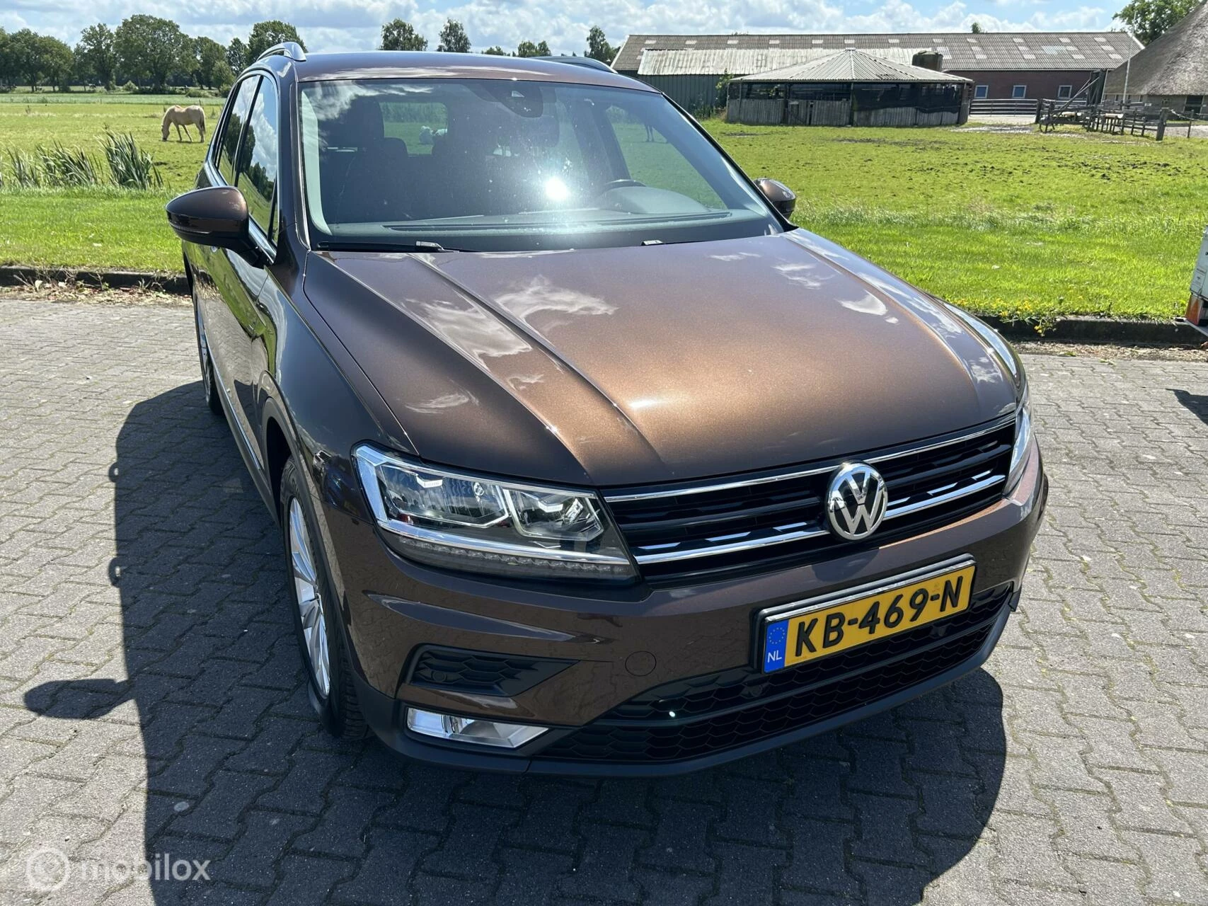 Hoofdafbeelding Volkswagen Tiguan