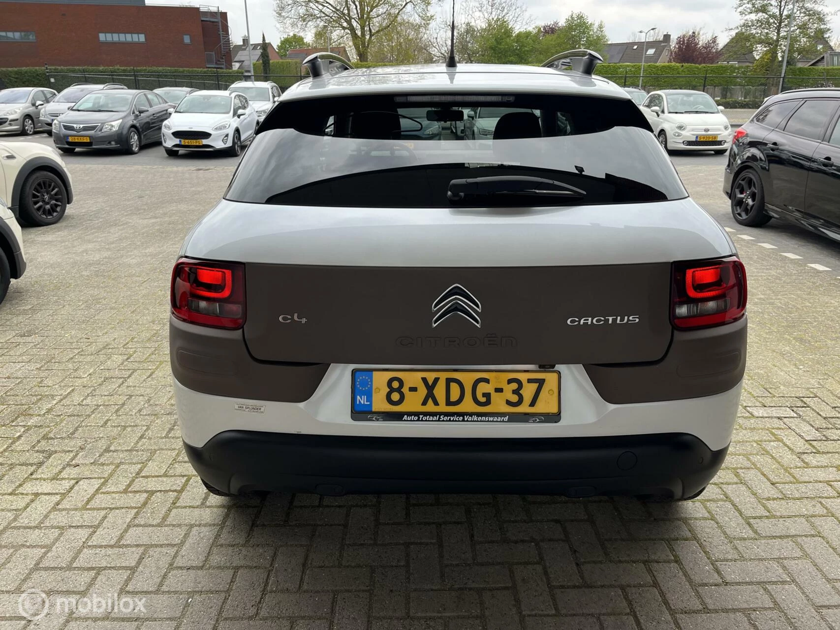 Hoofdafbeelding Citroën C4 Cactus