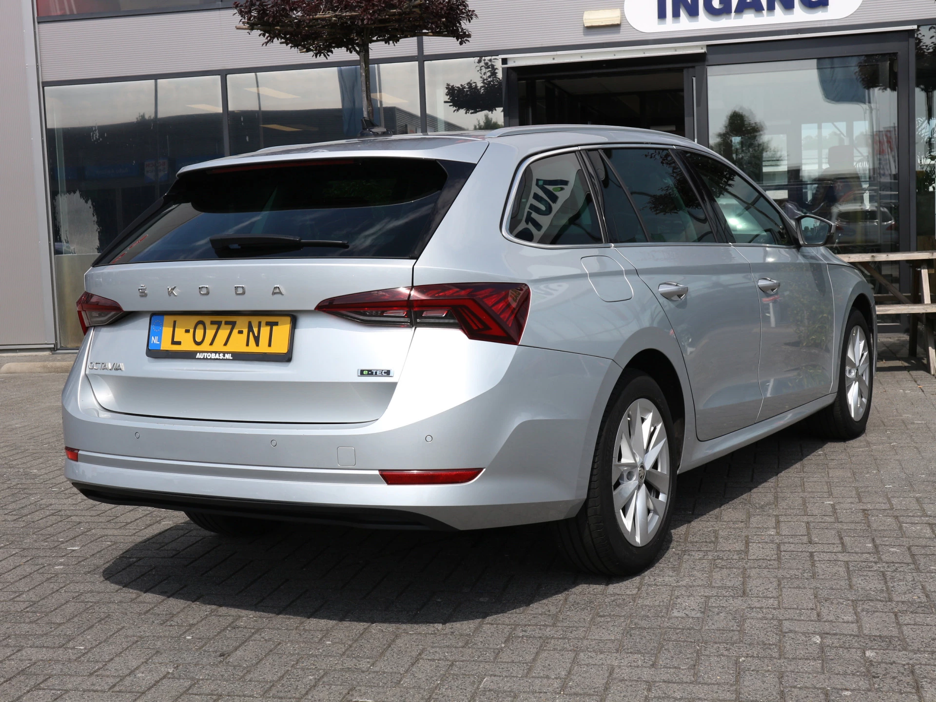 Hoofdafbeelding Škoda Octavia