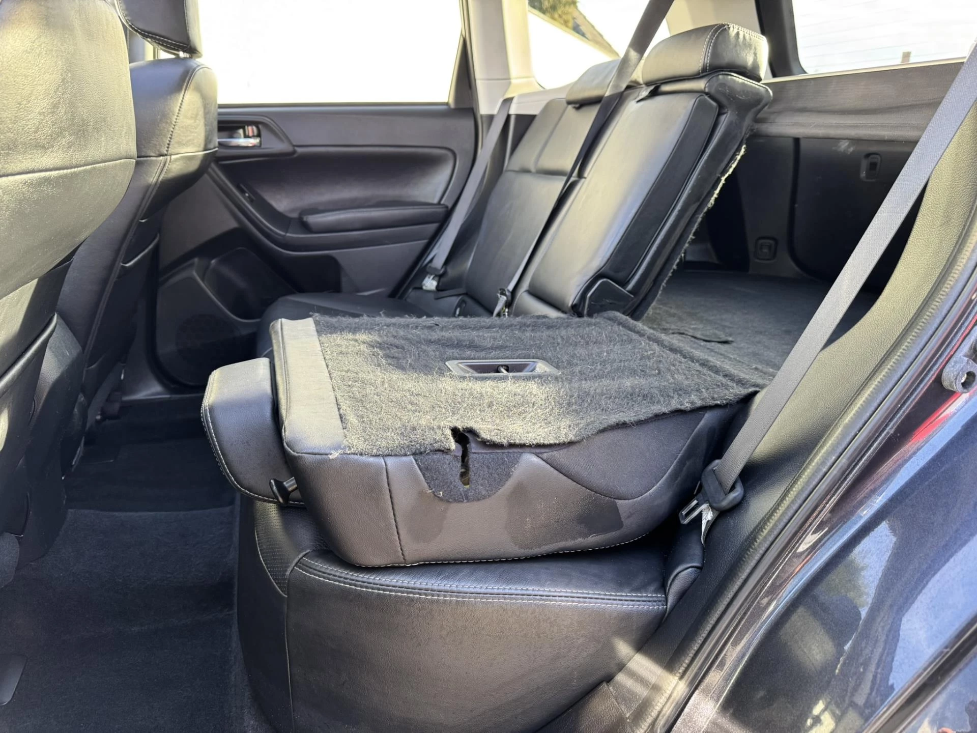 Hoofdafbeelding Subaru Forester