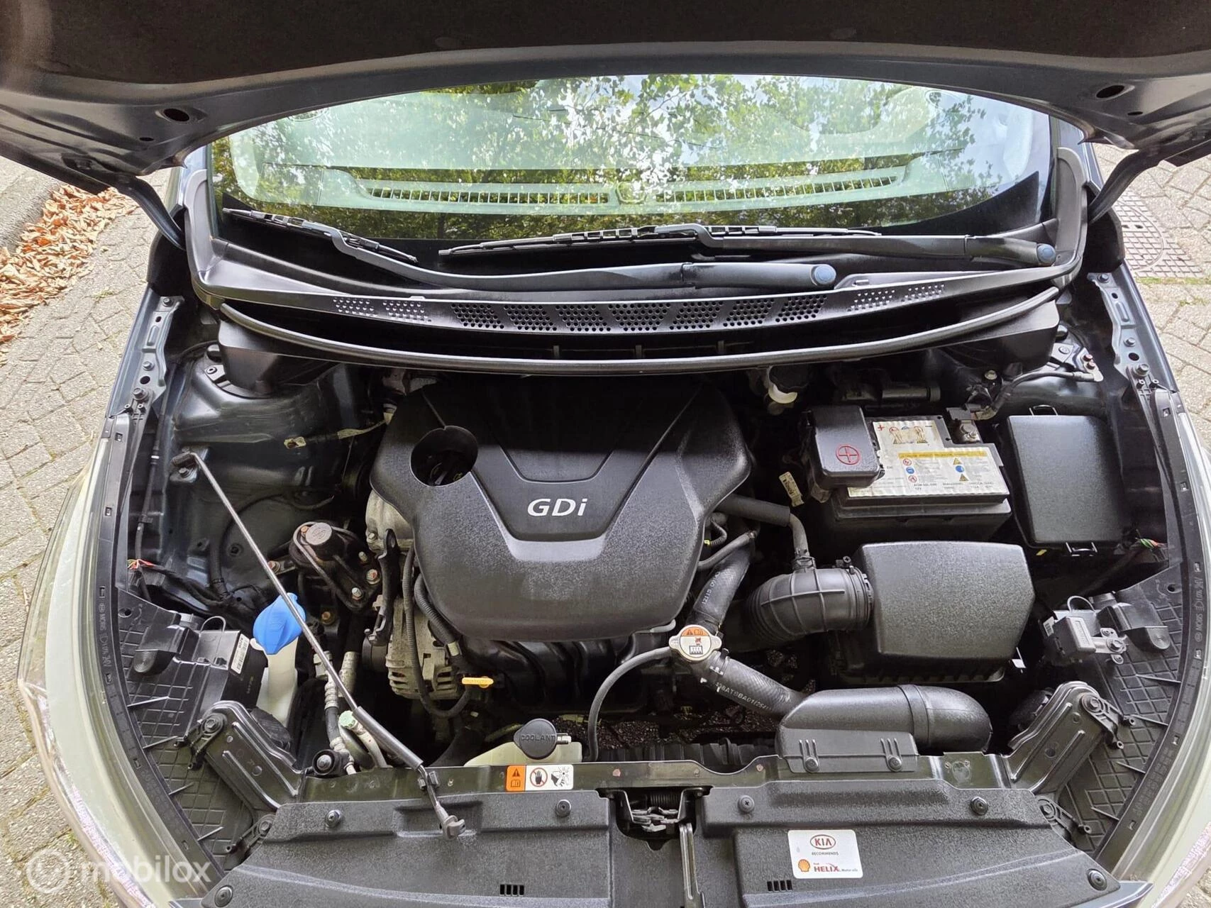 Hoofdafbeelding Kia cee'd