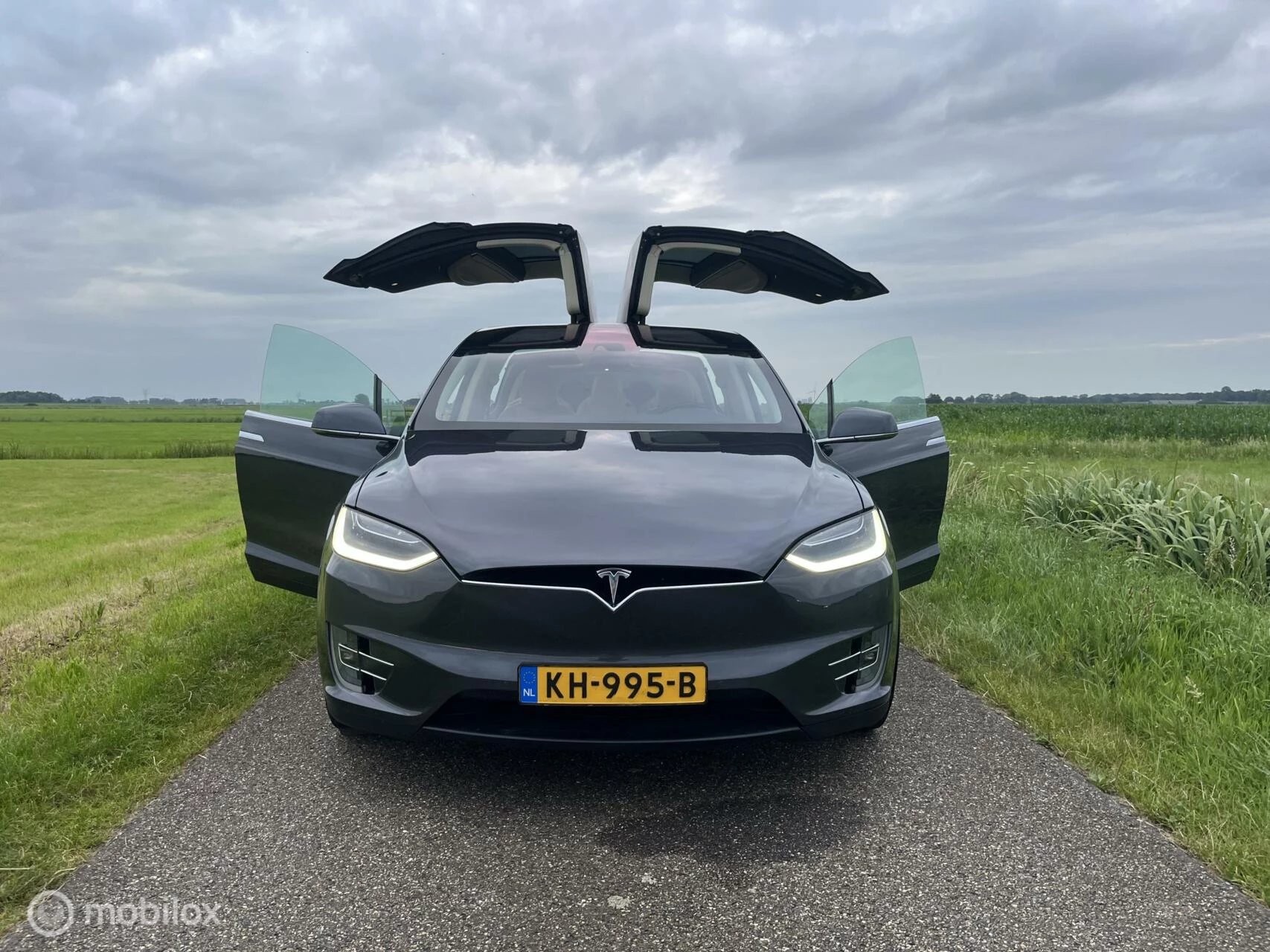 Hoofdafbeelding Tesla Model X