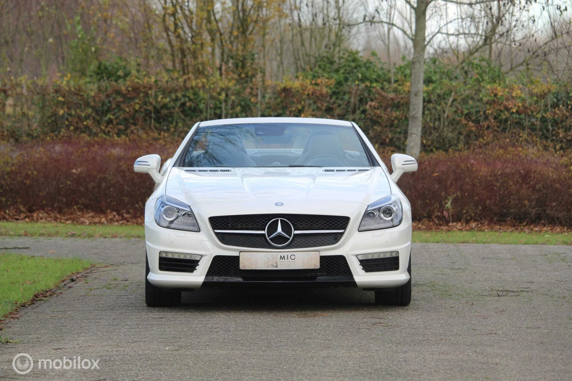 Hoofdafbeelding Mercedes-Benz SLK