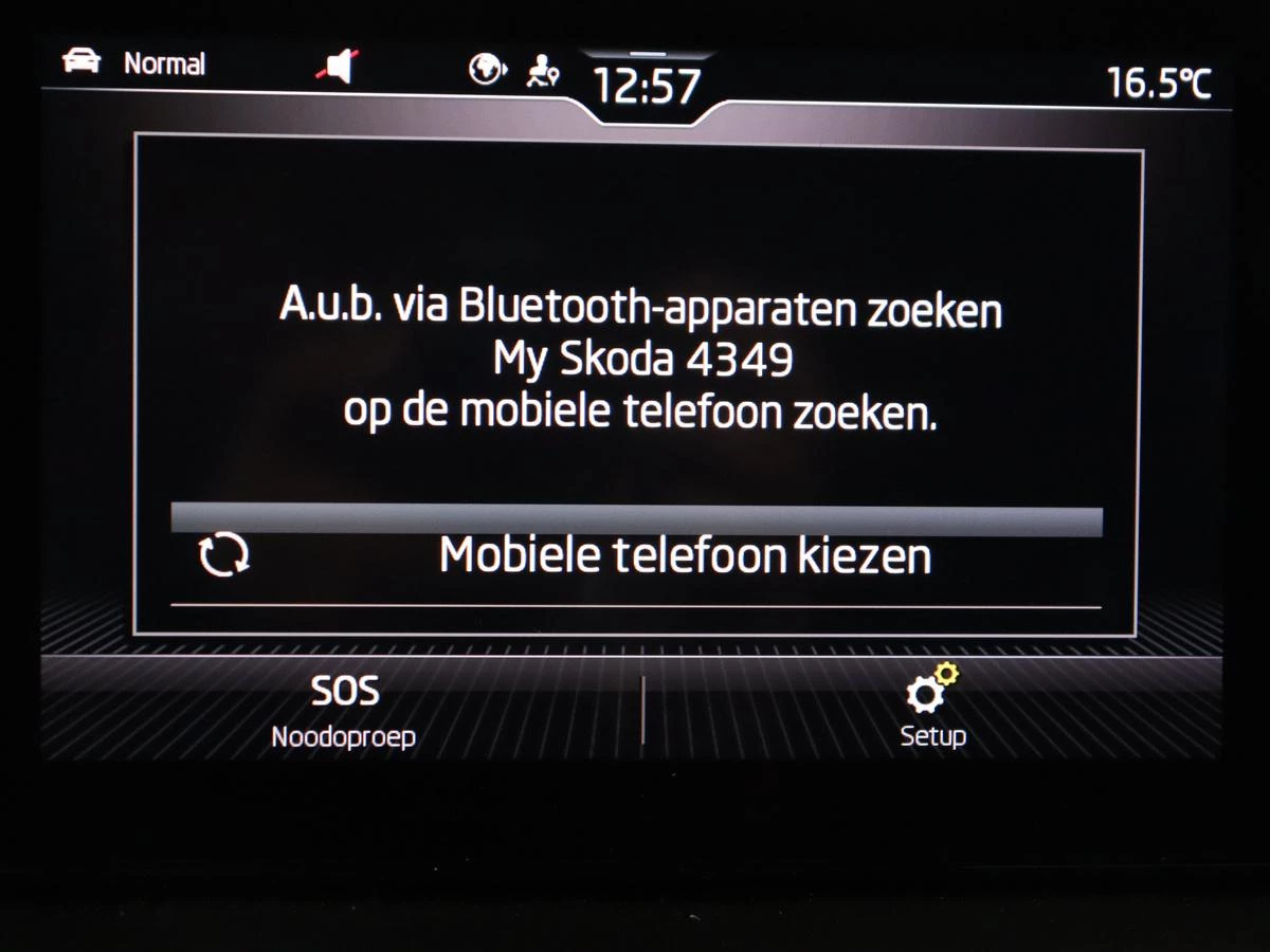 Hoofdafbeelding Škoda Kamiq