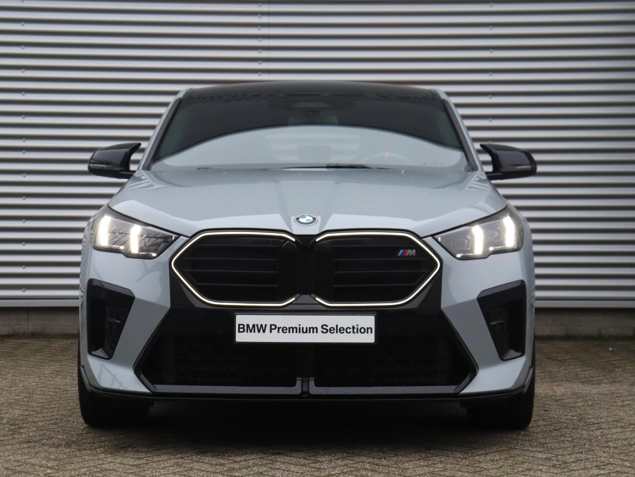 Hoofdafbeelding BMW X2