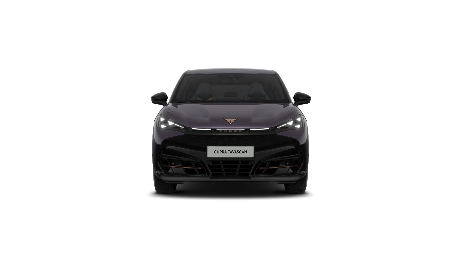 Hoofdafbeelding CUPRA Tavascan