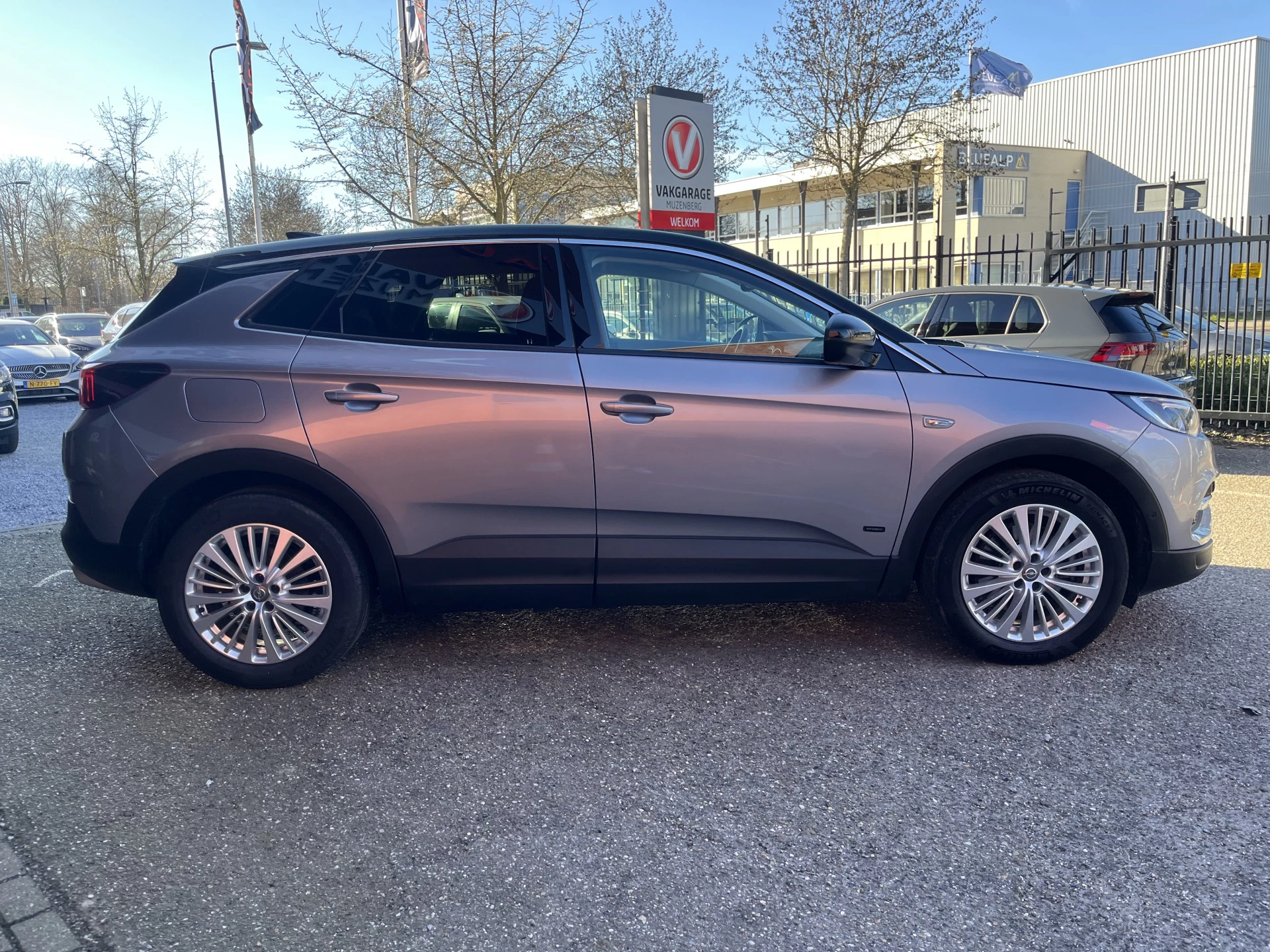 Hoofdafbeelding Opel Grandland X