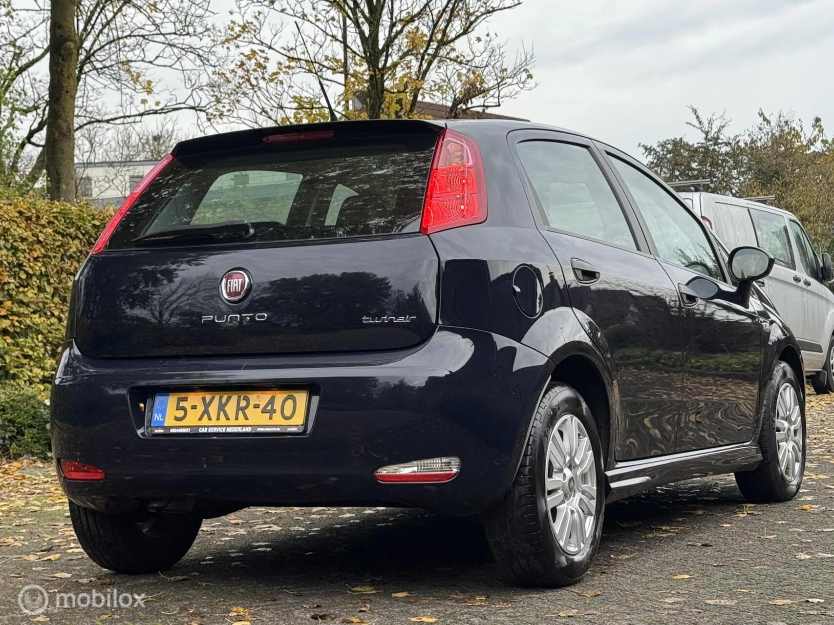 Hoofdafbeelding Fiat Punto