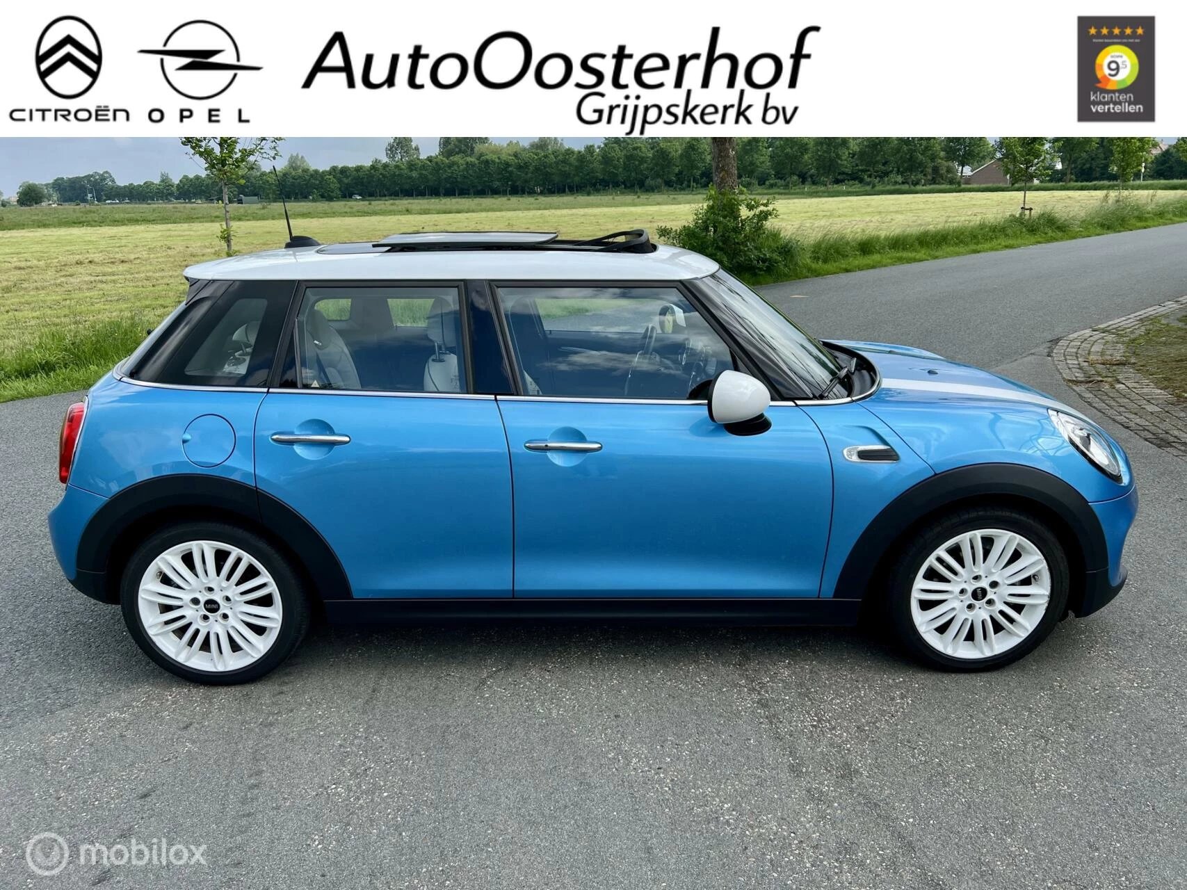 Hoofdafbeelding MINI Cooper