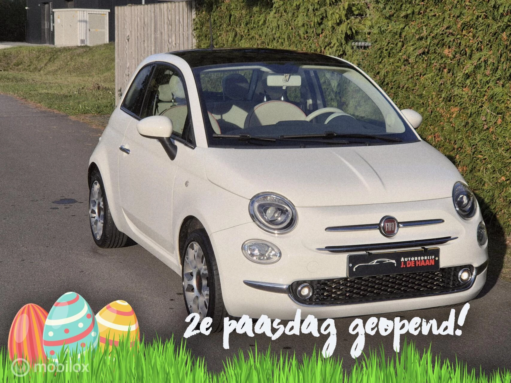 Hoofdafbeelding Fiat 500