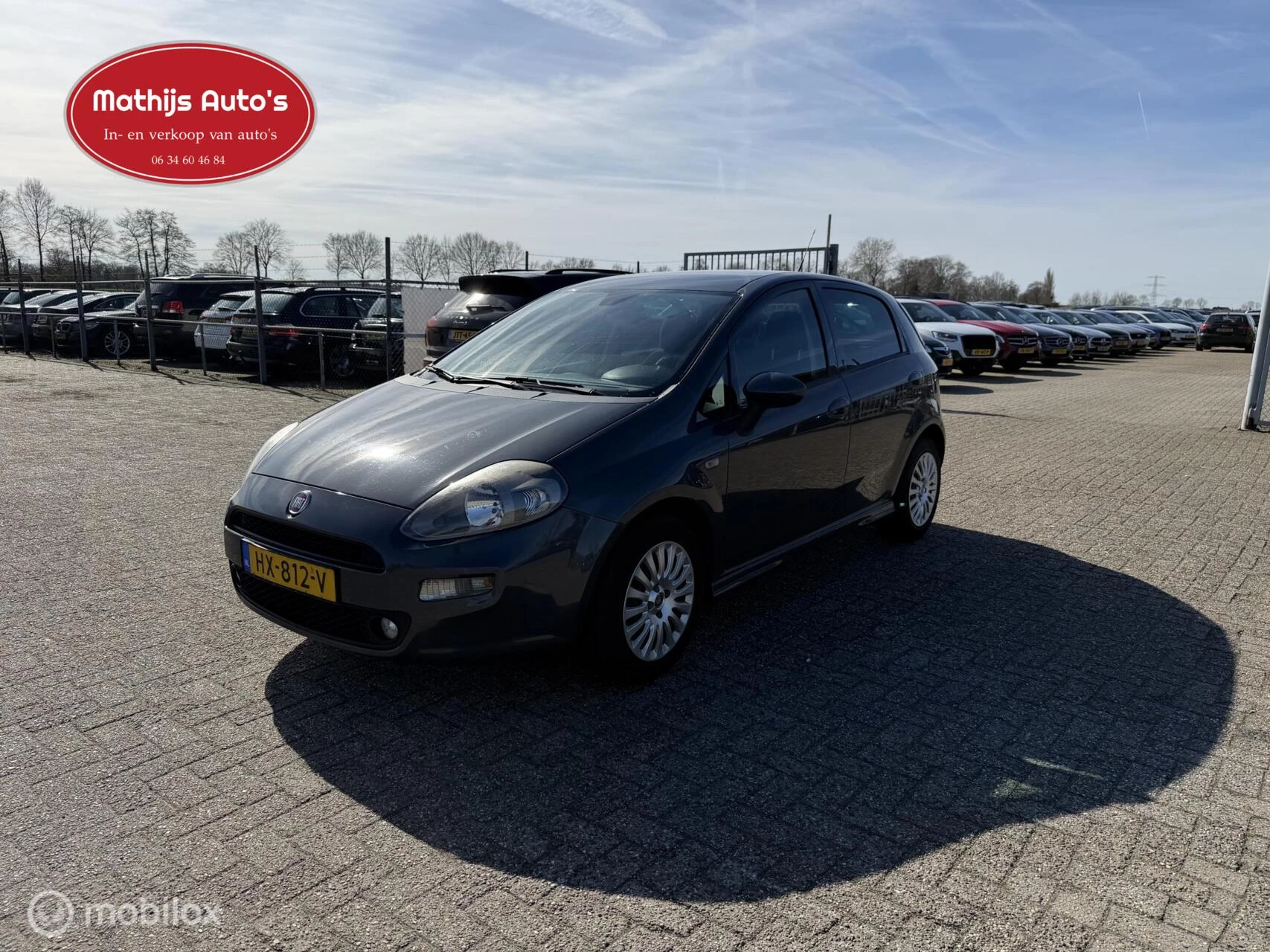Hoofdafbeelding Fiat Punto