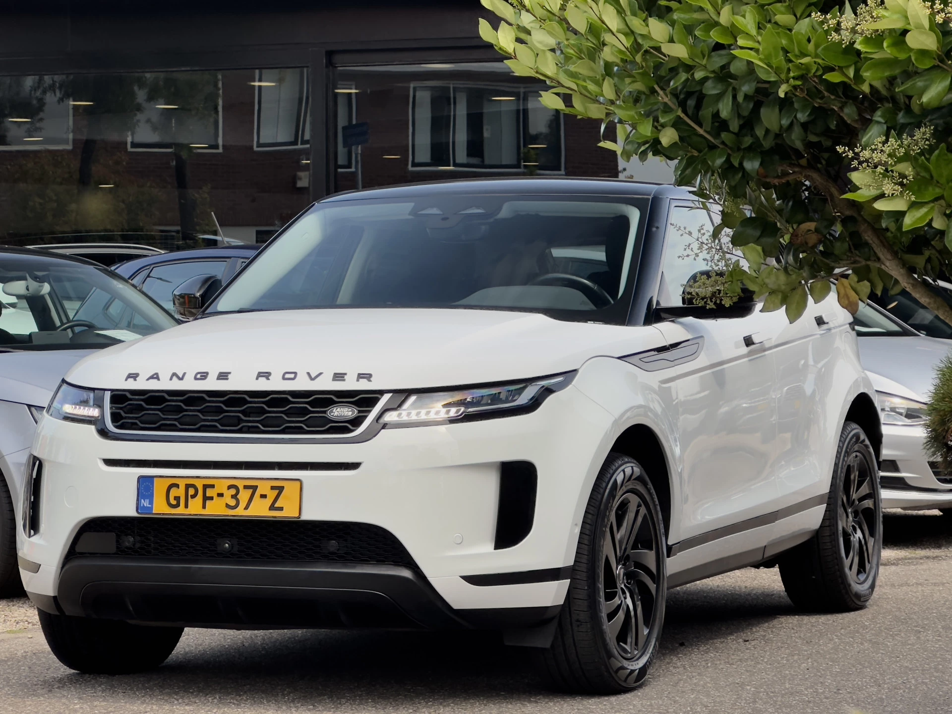 Hoofdafbeelding Land Rover Range Rover Evoque