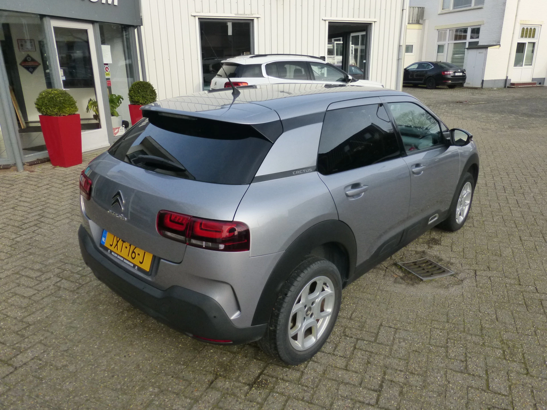 Hoofdafbeelding Citroën C4 Cactus