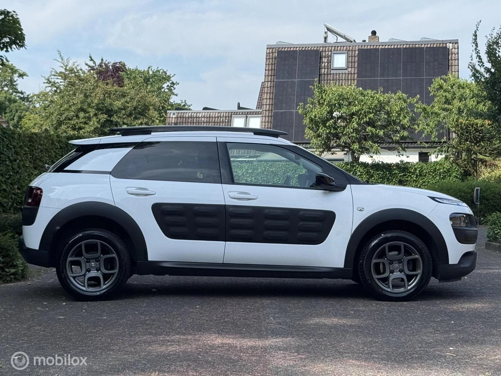 Hoofdafbeelding Citroën C4 Cactus