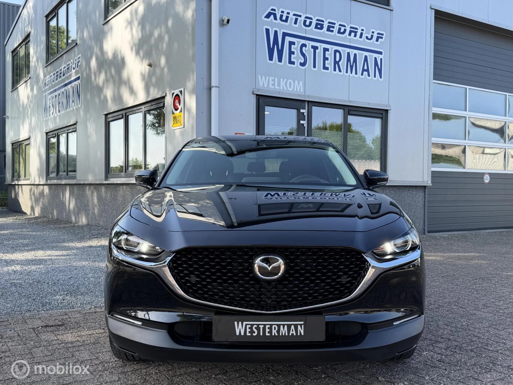 Hoofdafbeelding Mazda CX-30