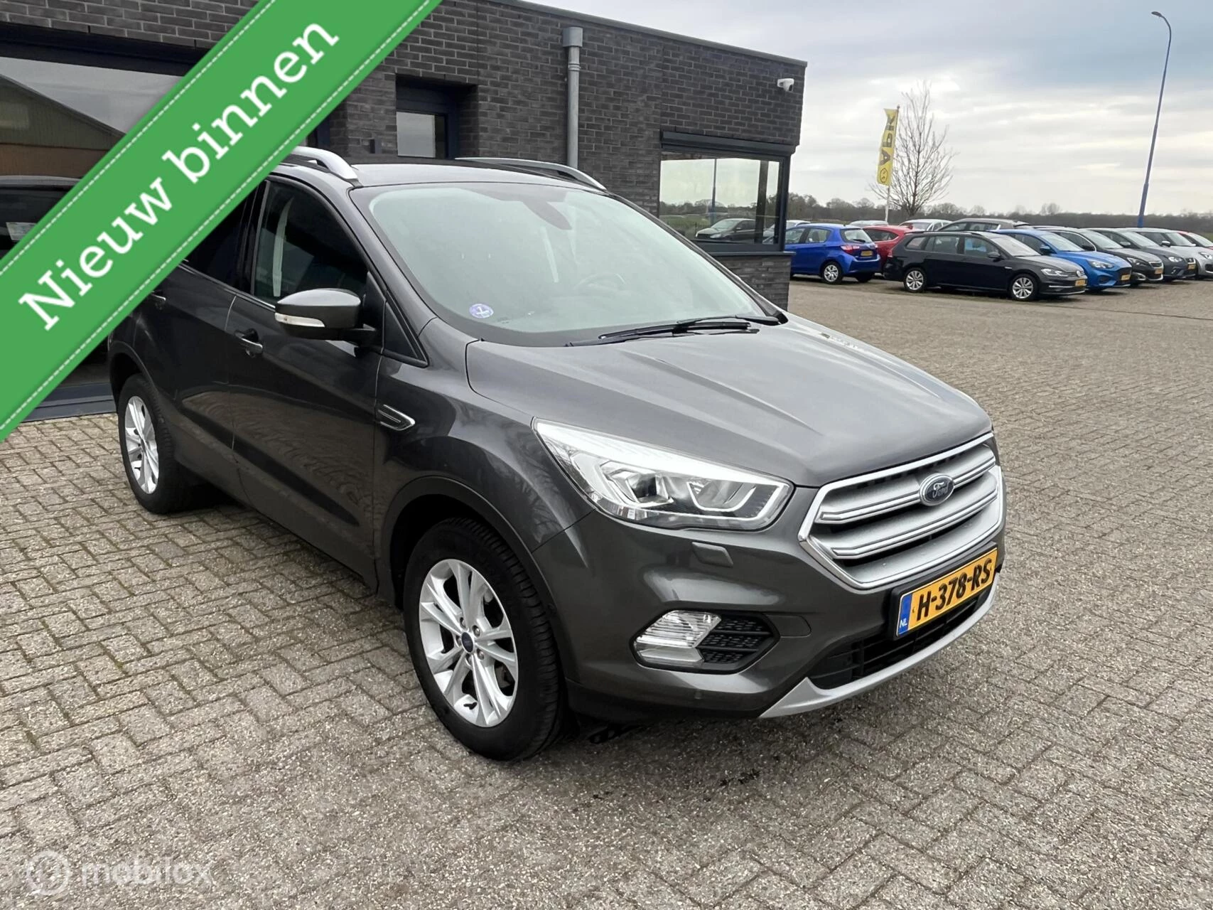Hoofdafbeelding Ford Kuga