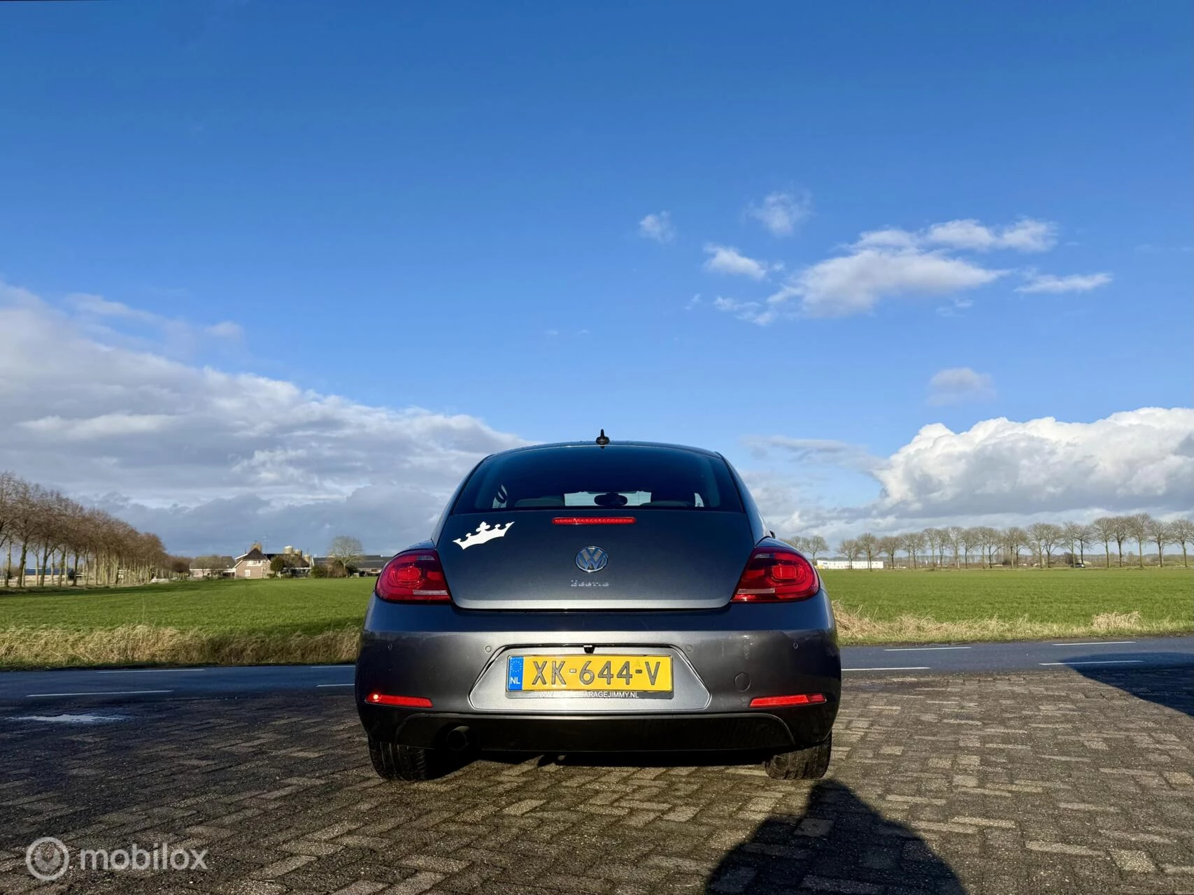 Hoofdafbeelding Volkswagen Beetle