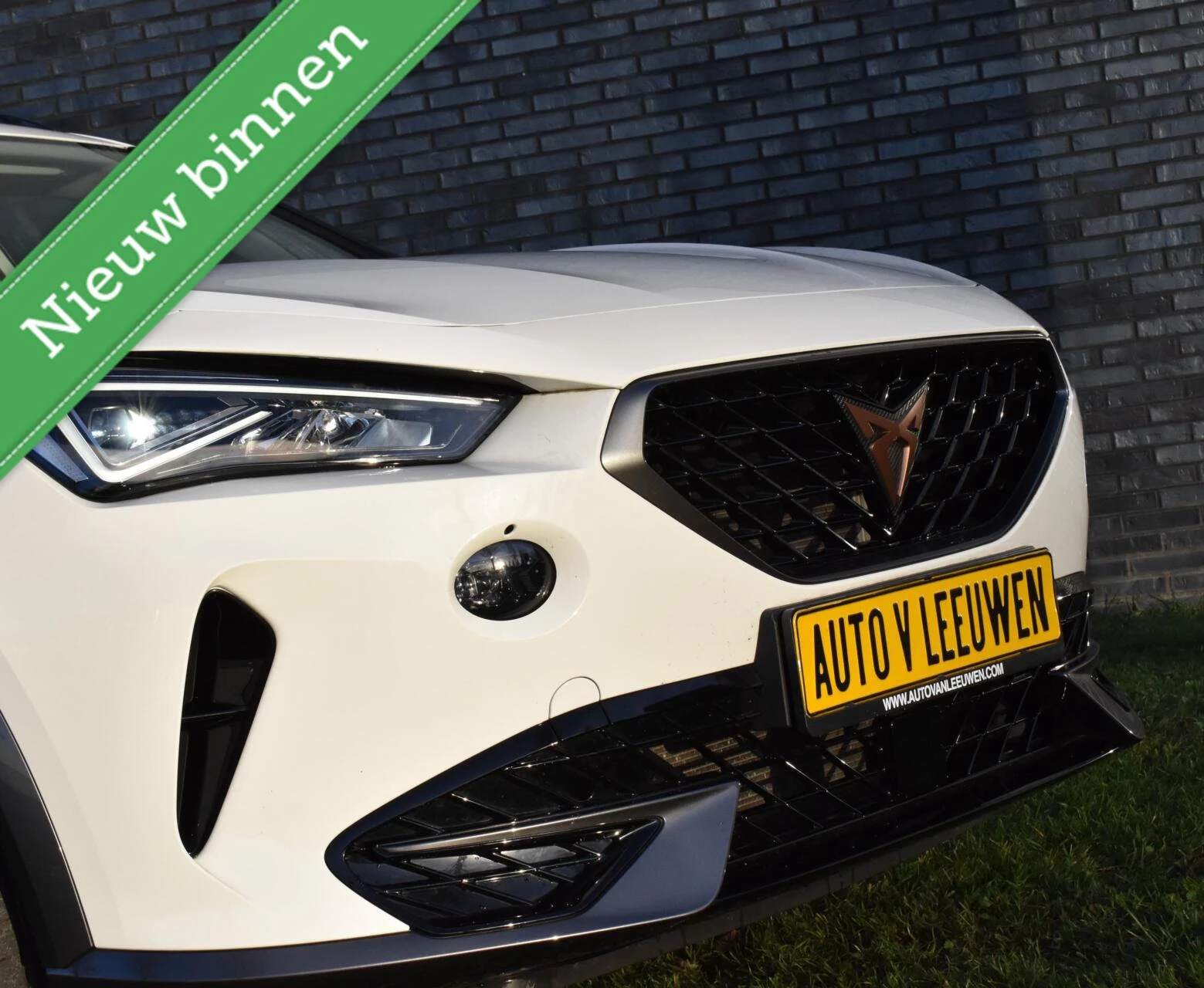 Hoofdafbeelding CUPRA Formentor