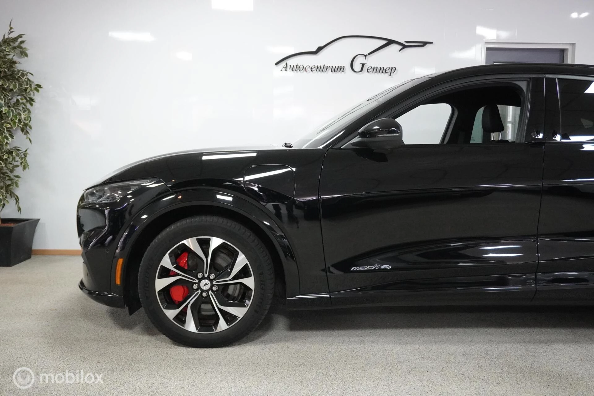 Hoofdafbeelding Ford Mustang Mach-E