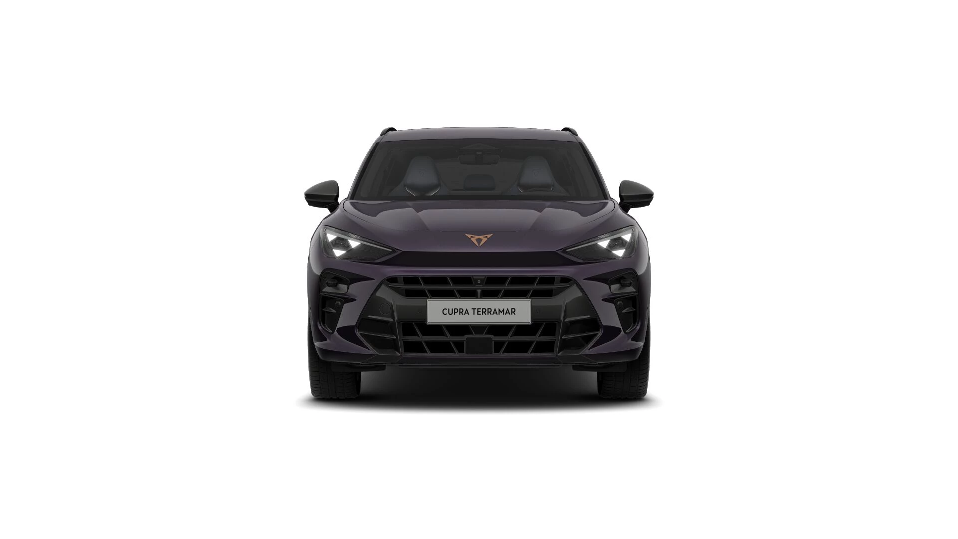 Hoofdafbeelding CUPRA Terramar