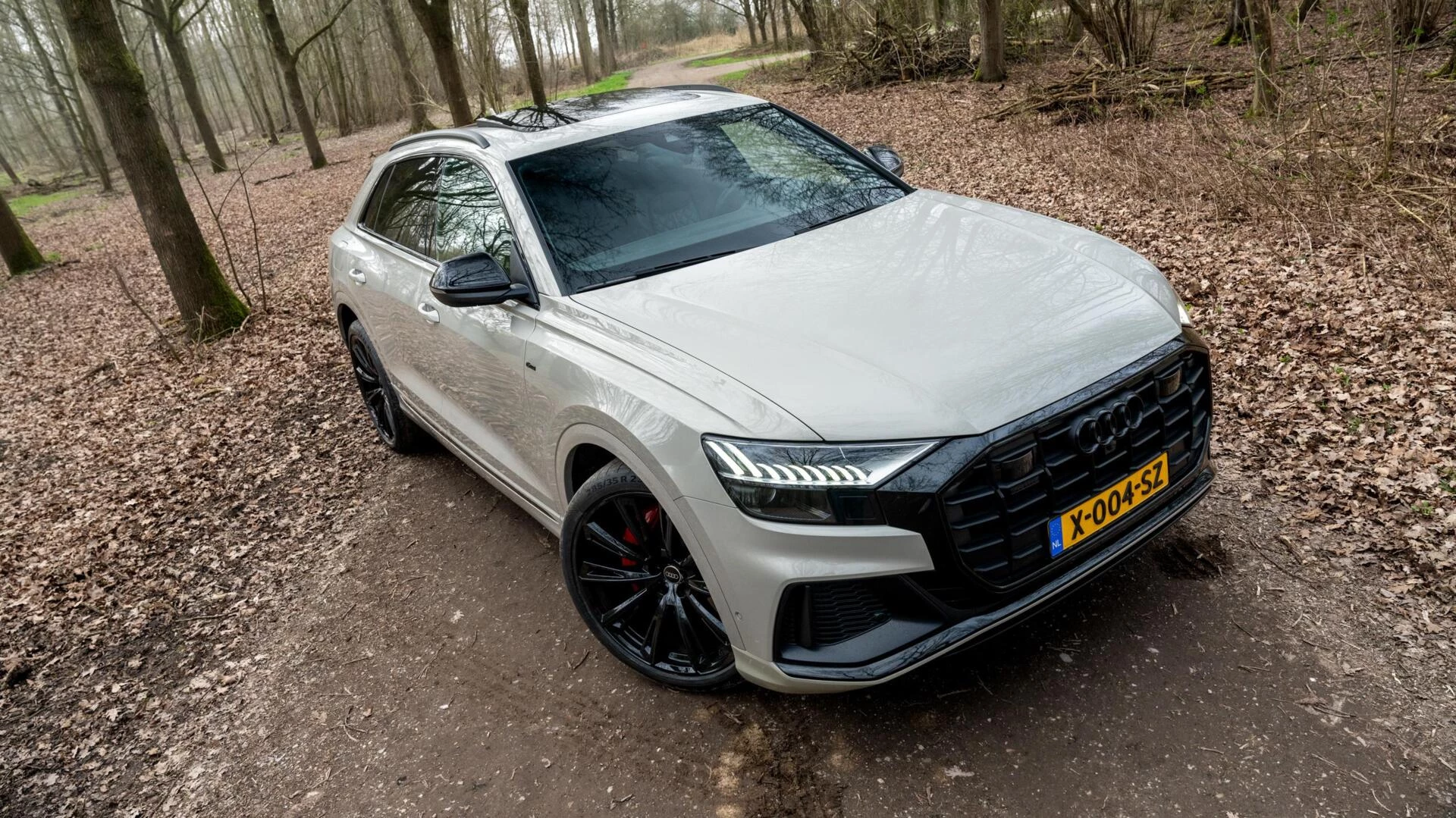 Hoofdafbeelding Audi Q8