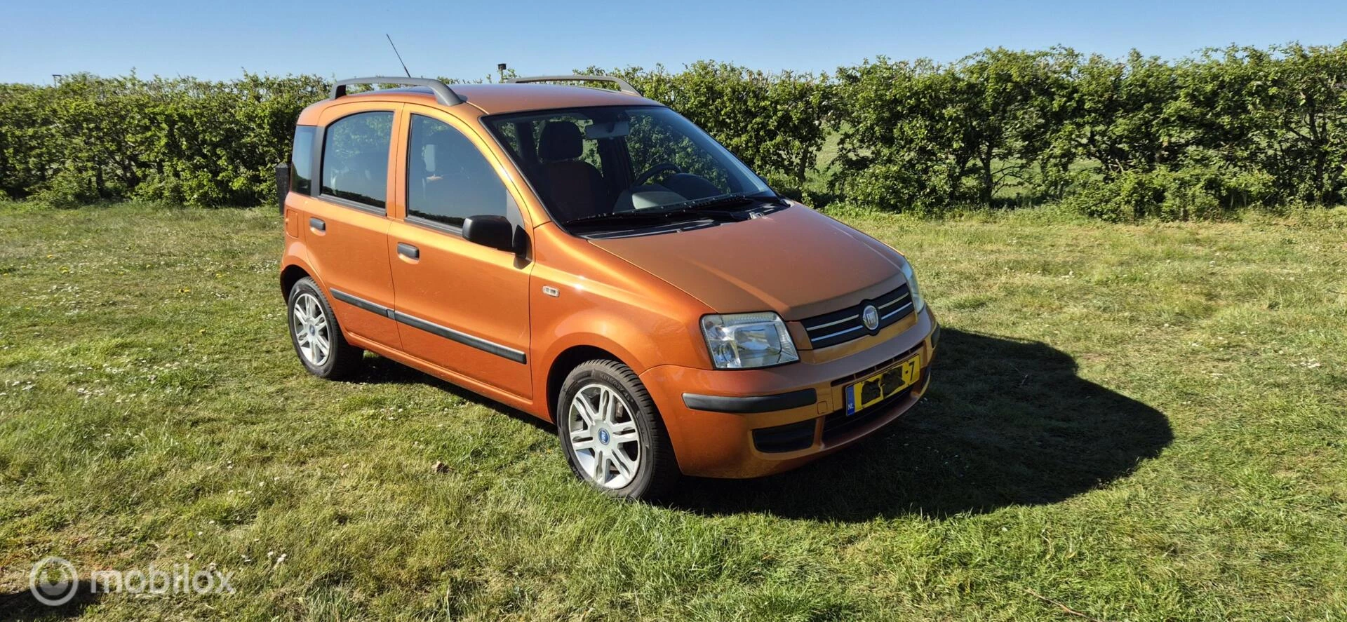Hoofdafbeelding Fiat Panda