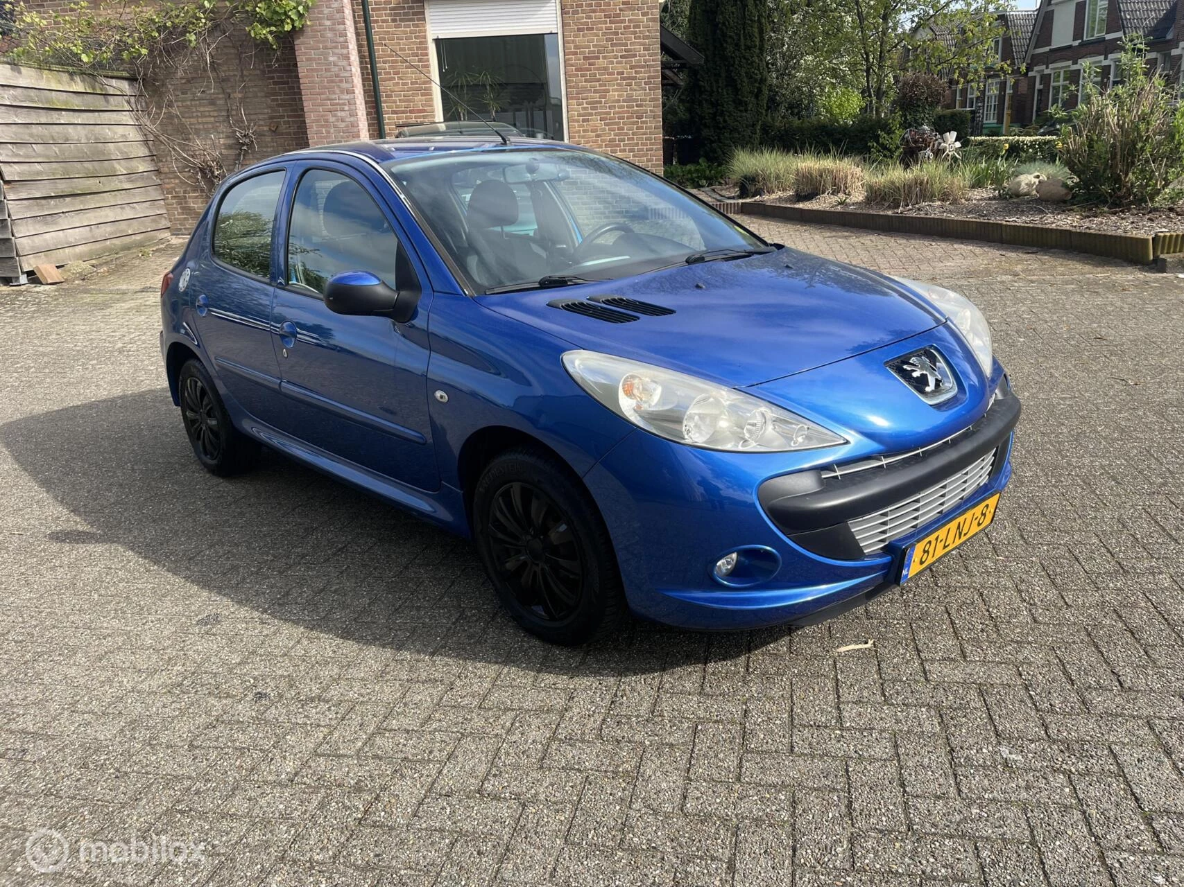 Hoofdafbeelding Peugeot 206
