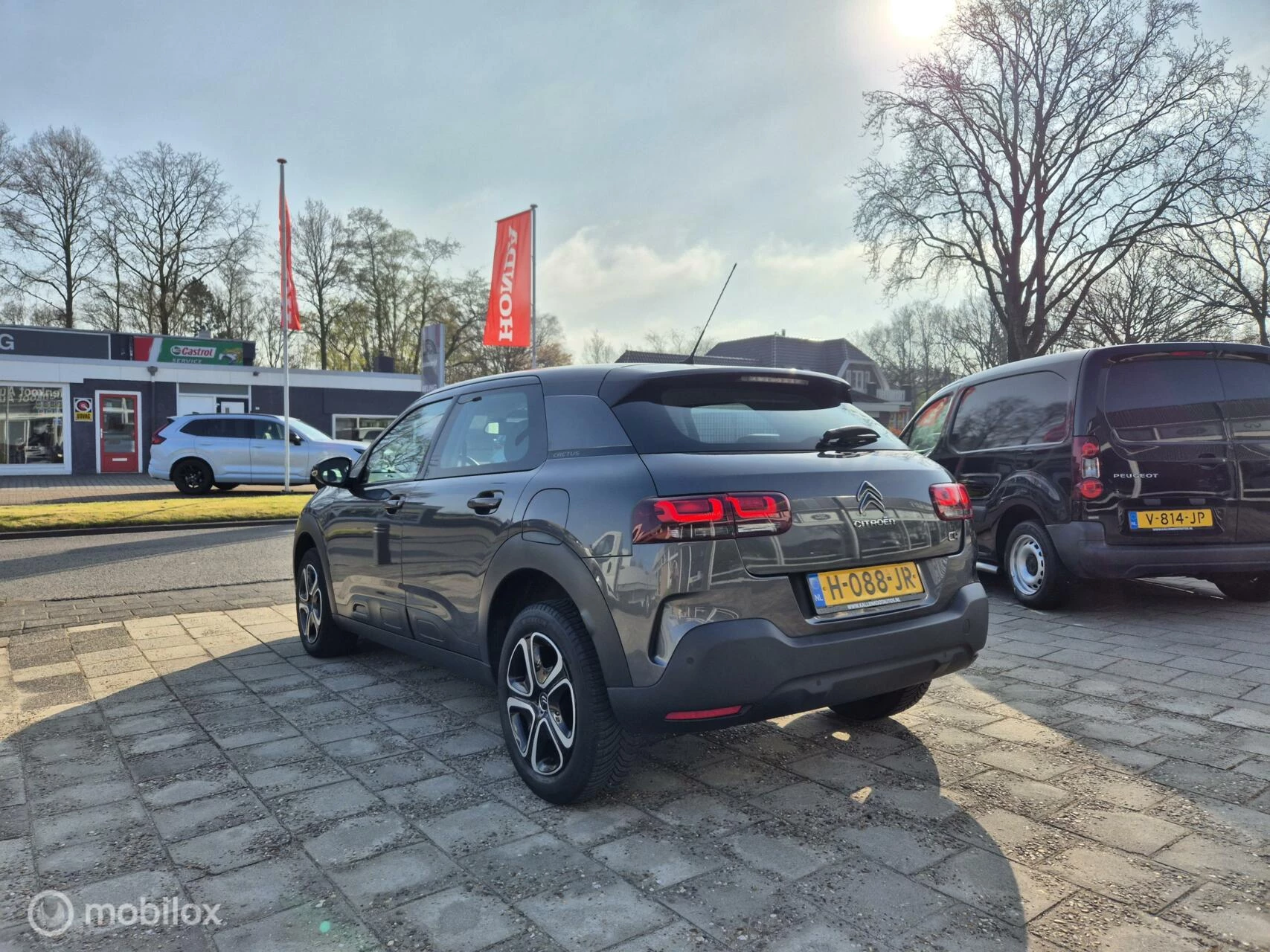 Hoofdafbeelding Citroën C4 Cactus