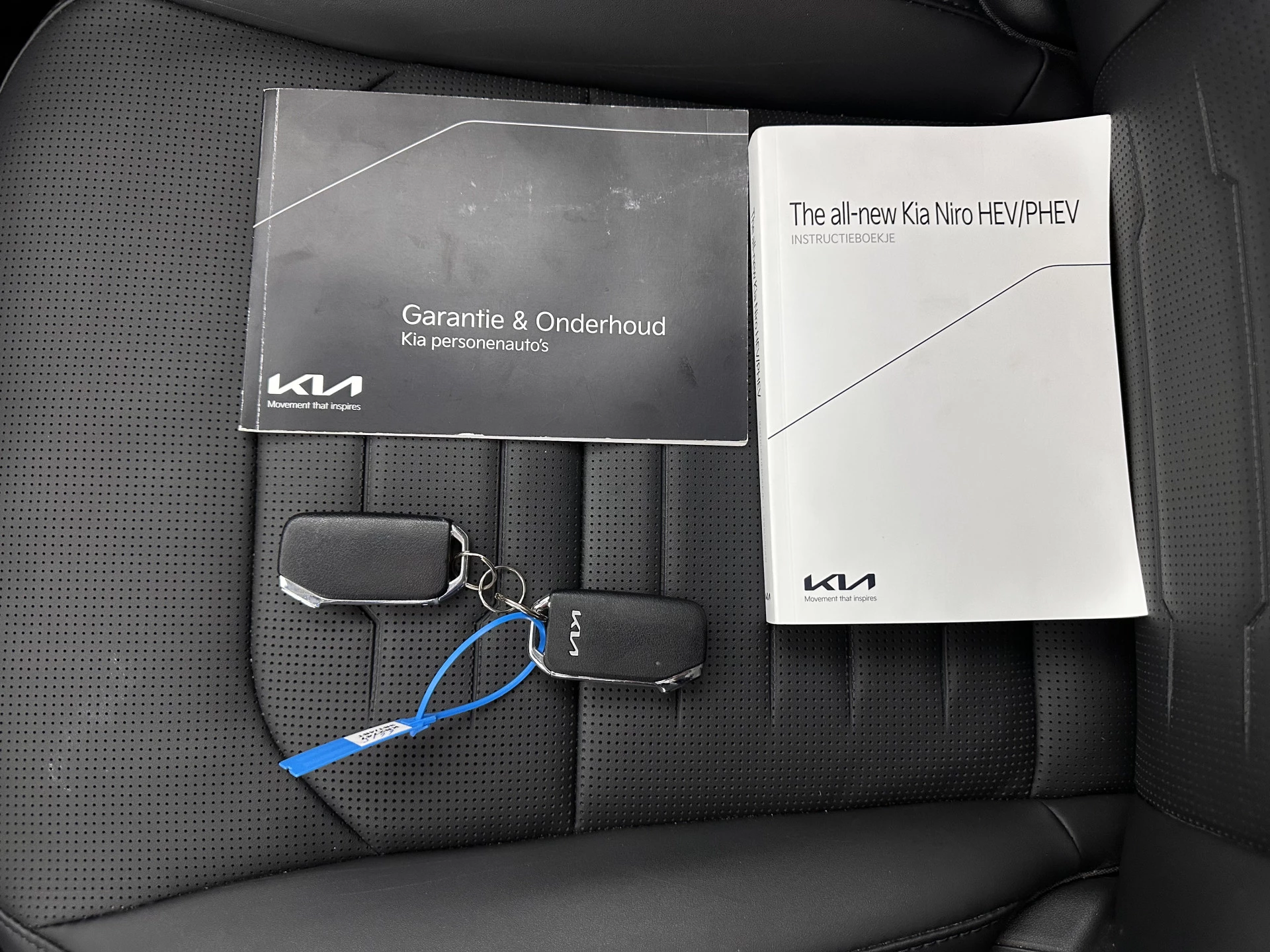 Hoofdafbeelding Kia Niro