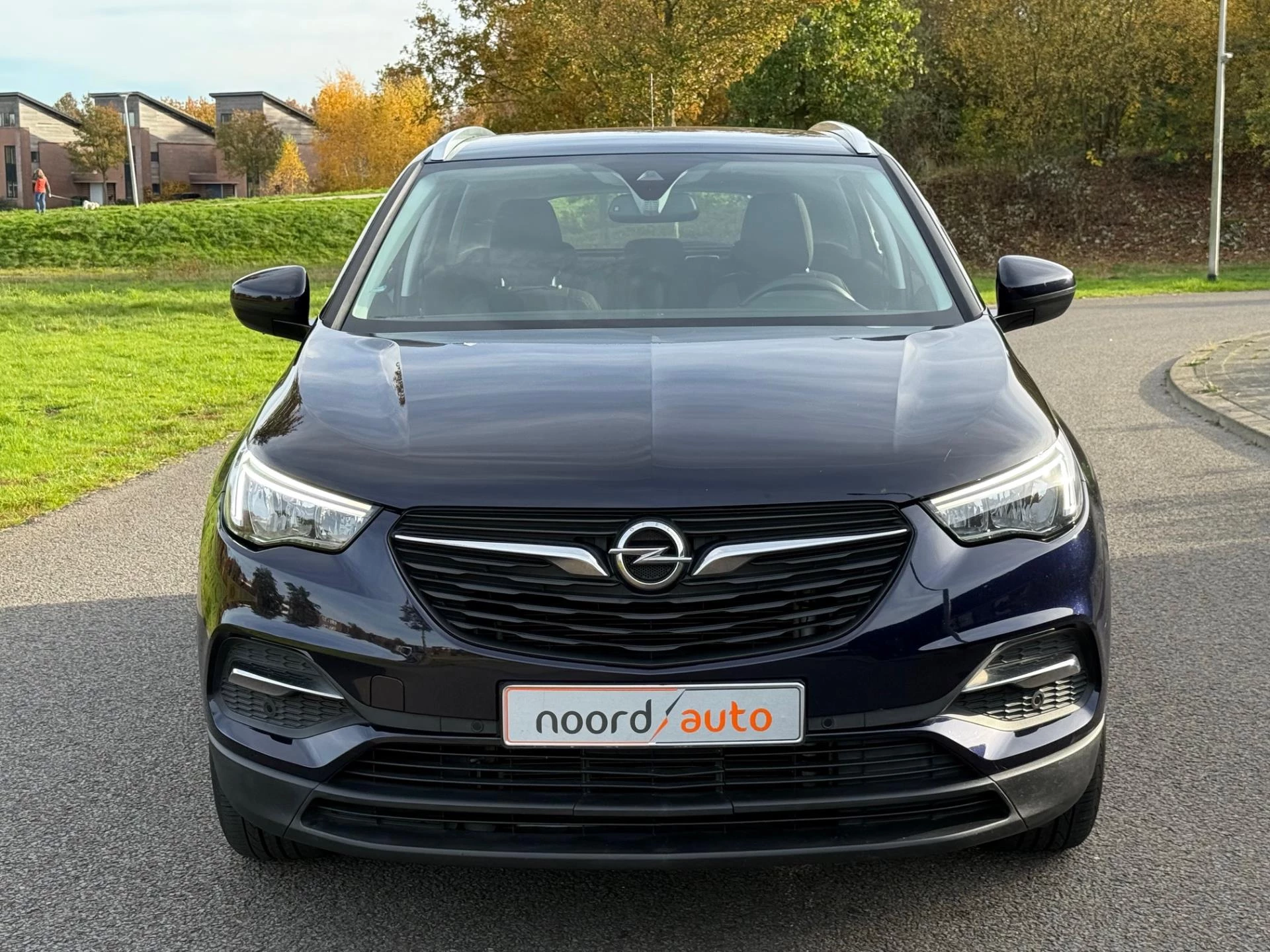 Hoofdafbeelding Opel Grandland X