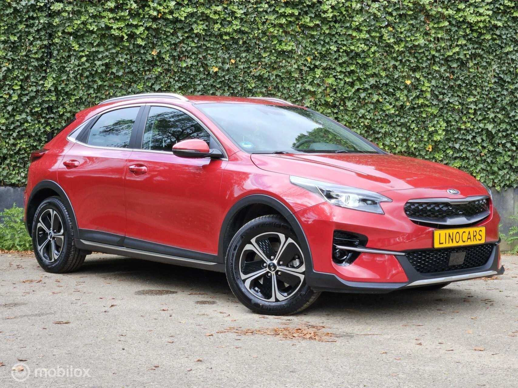 Hoofdafbeelding Kia XCeed