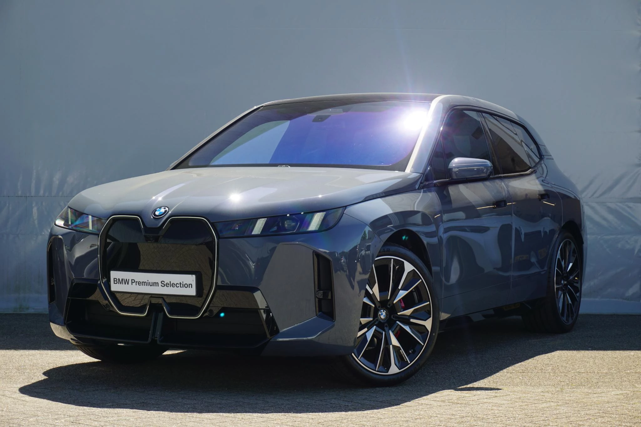 Hoofdafbeelding BMW iX