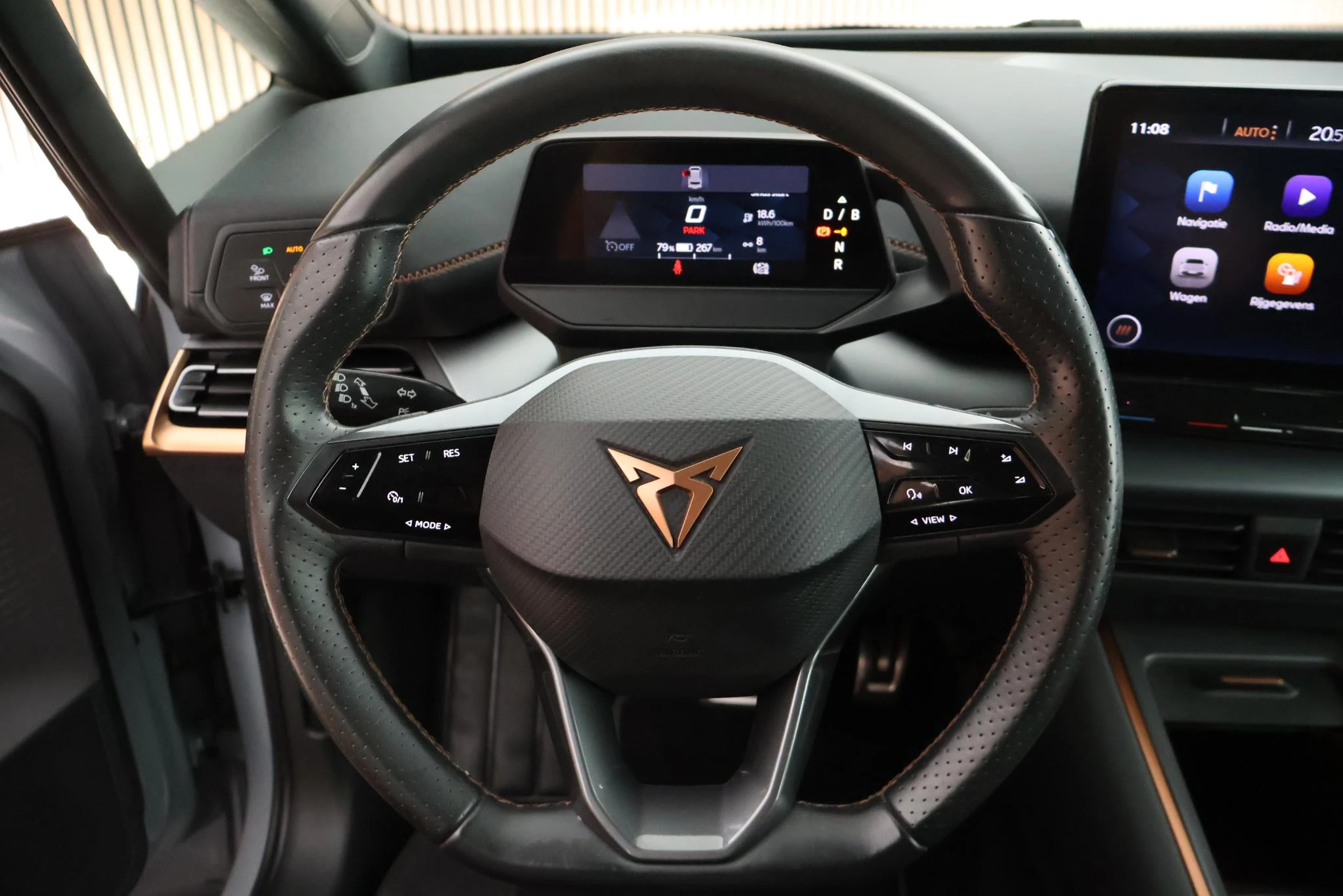Hoofdafbeelding CUPRA Born