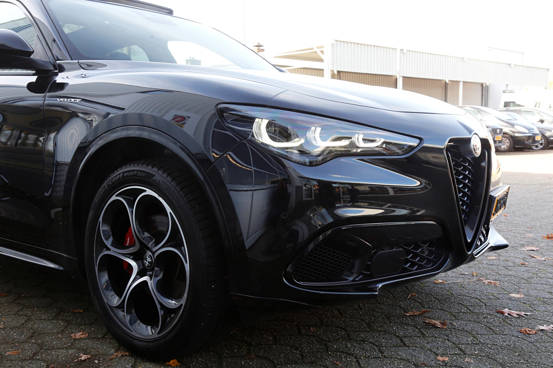 Hoofdafbeelding Alfa Romeo Stelvio