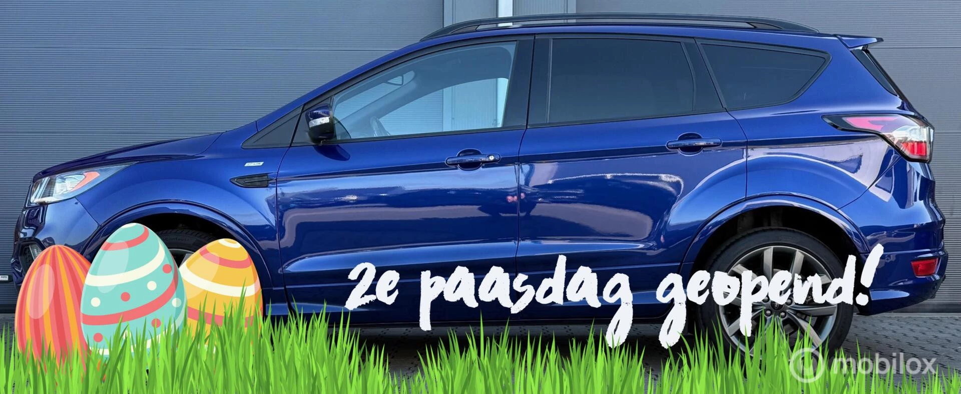 Hoofdafbeelding Ford Kuga