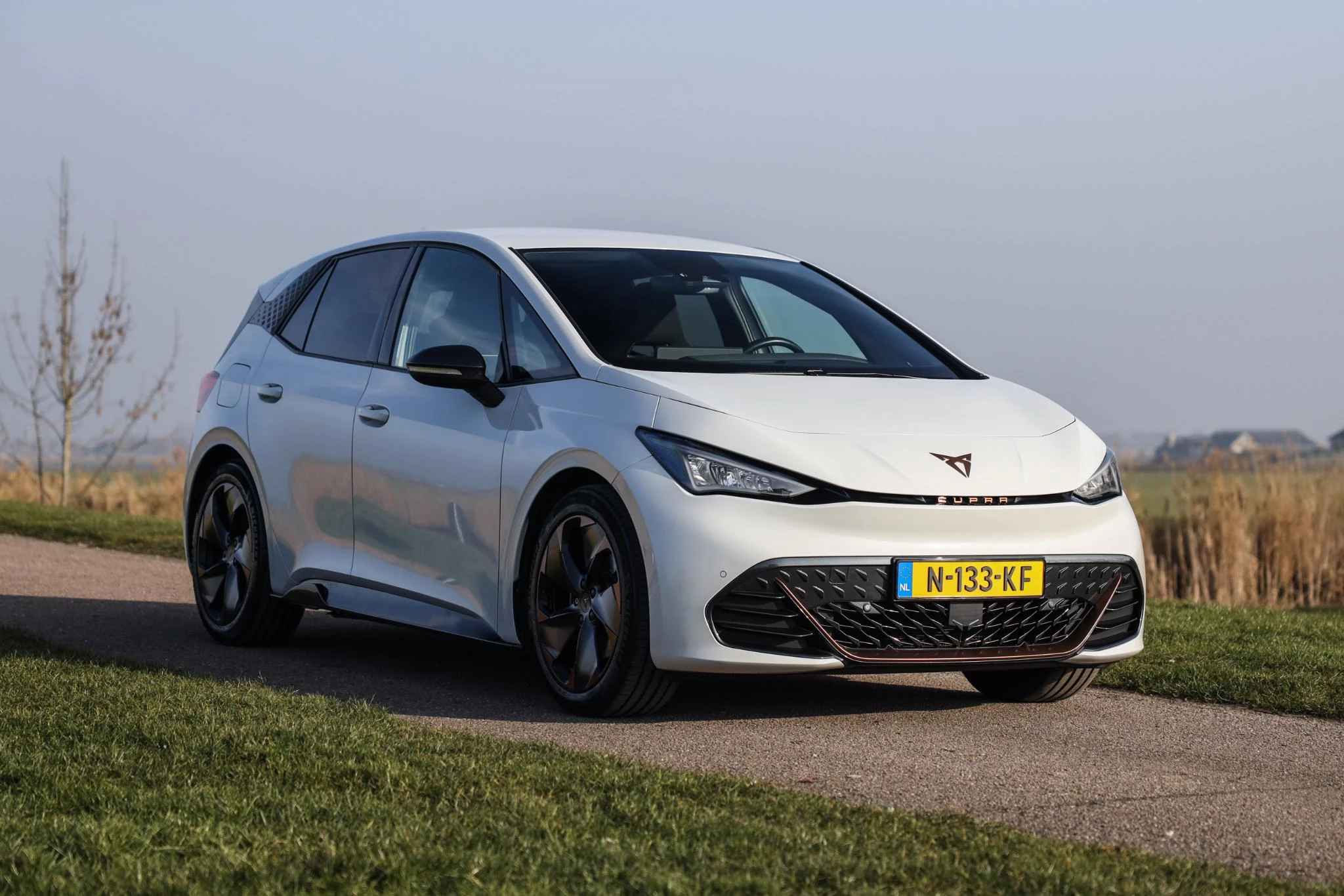 Hoofdafbeelding CUPRA Born