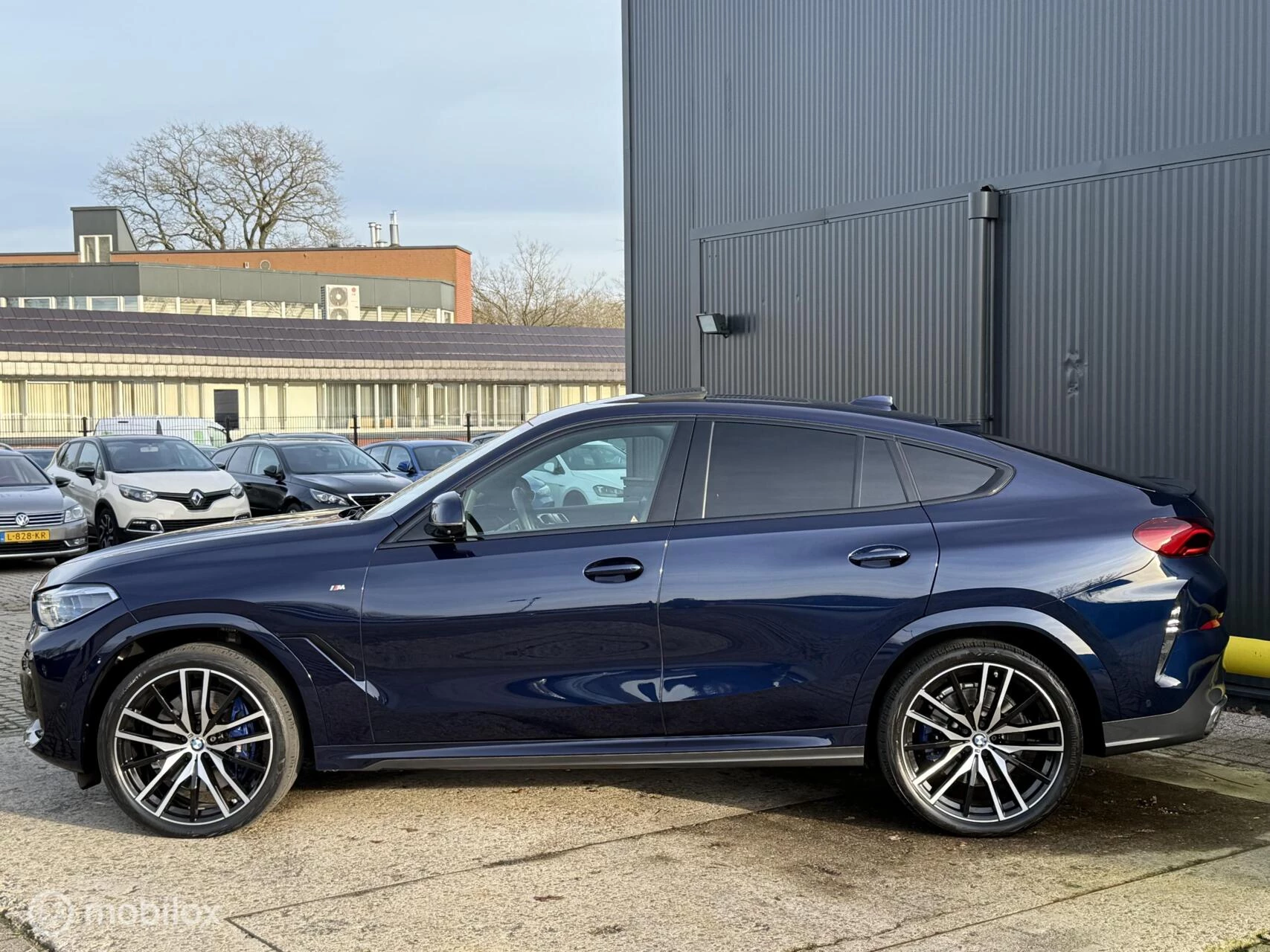 Hoofdafbeelding BMW X6