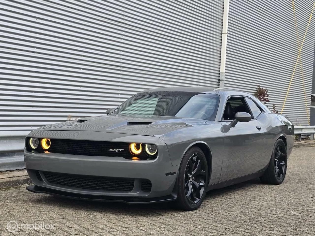 Hoofdafbeelding Dodge Challenger