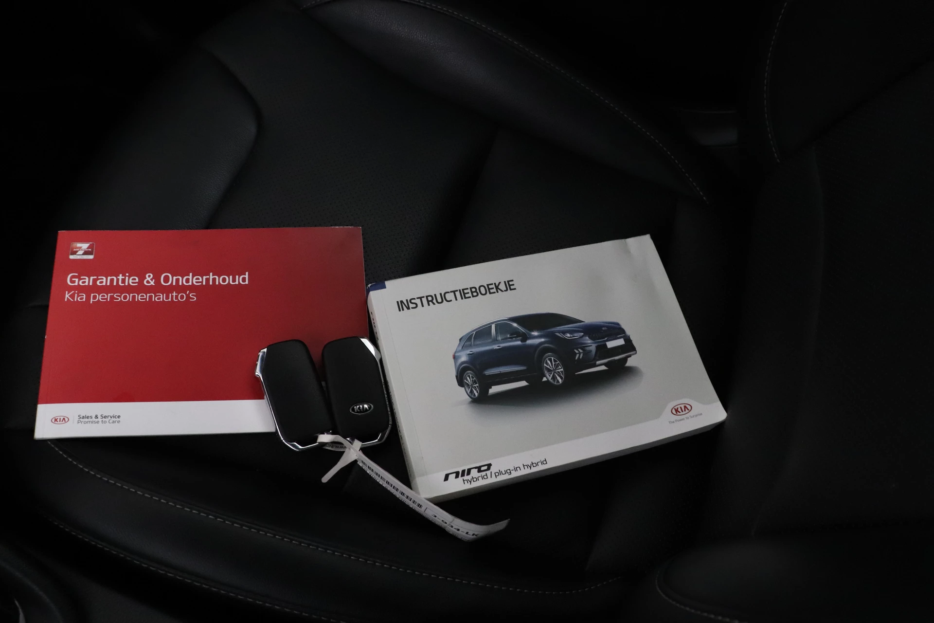 Hoofdafbeelding Kia Niro