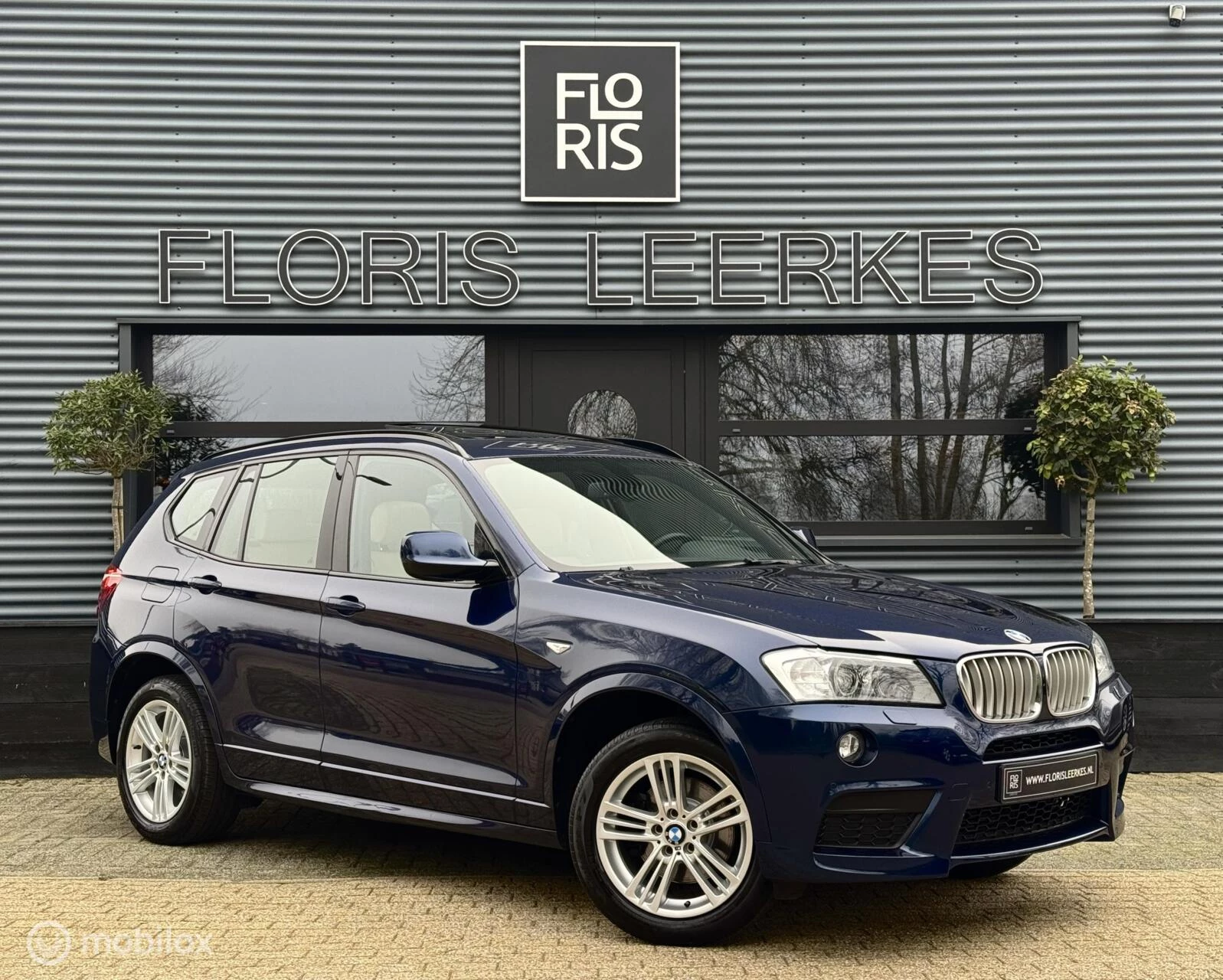 Hoofdafbeelding BMW X3