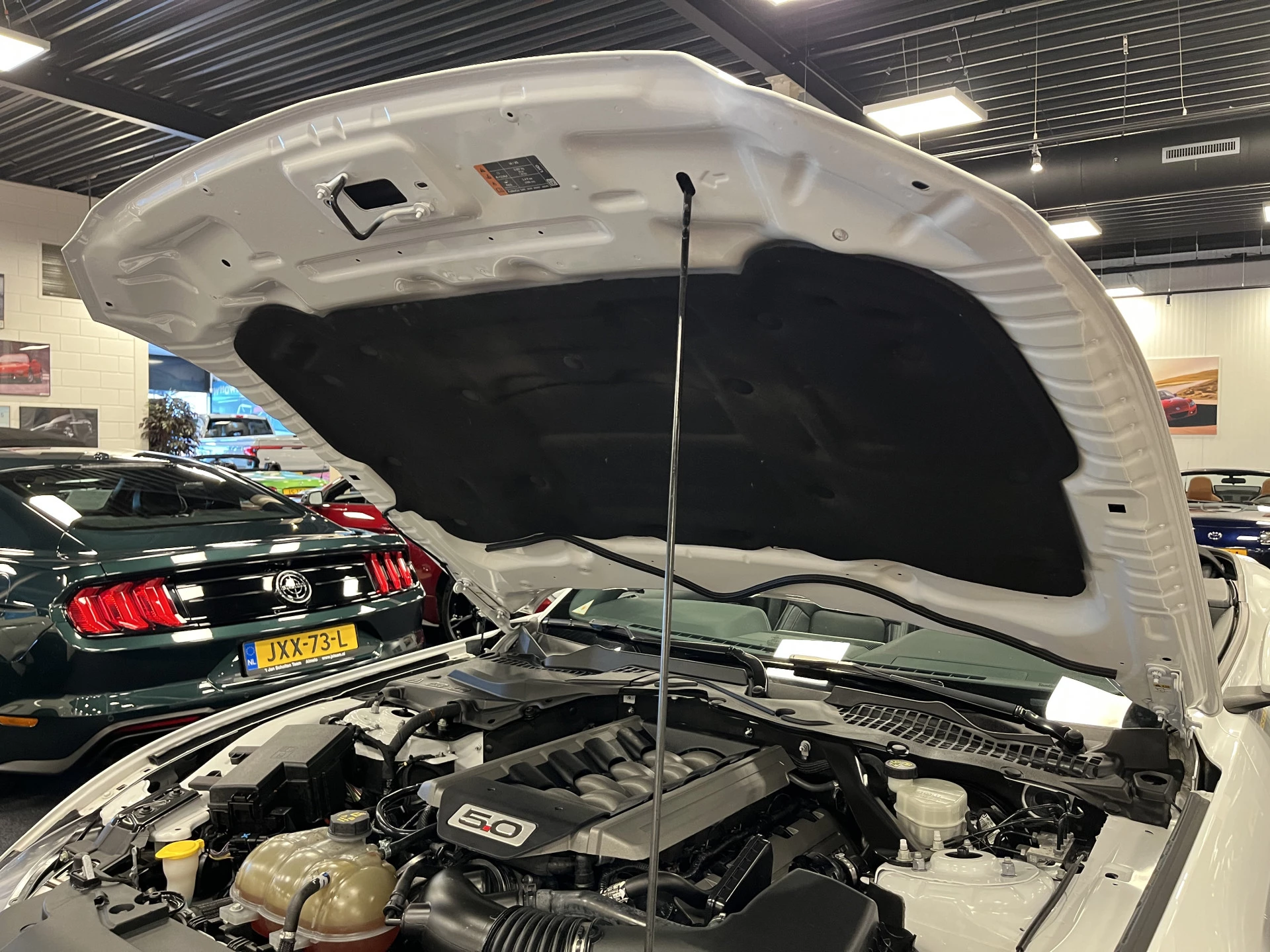 Hoofdafbeelding Ford Mustang