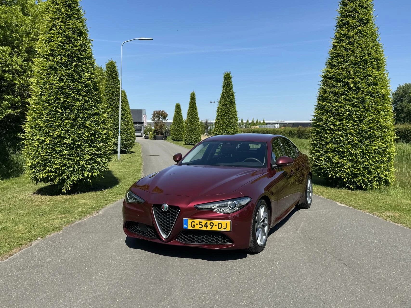 Hoofdafbeelding Alfa Romeo Giulia