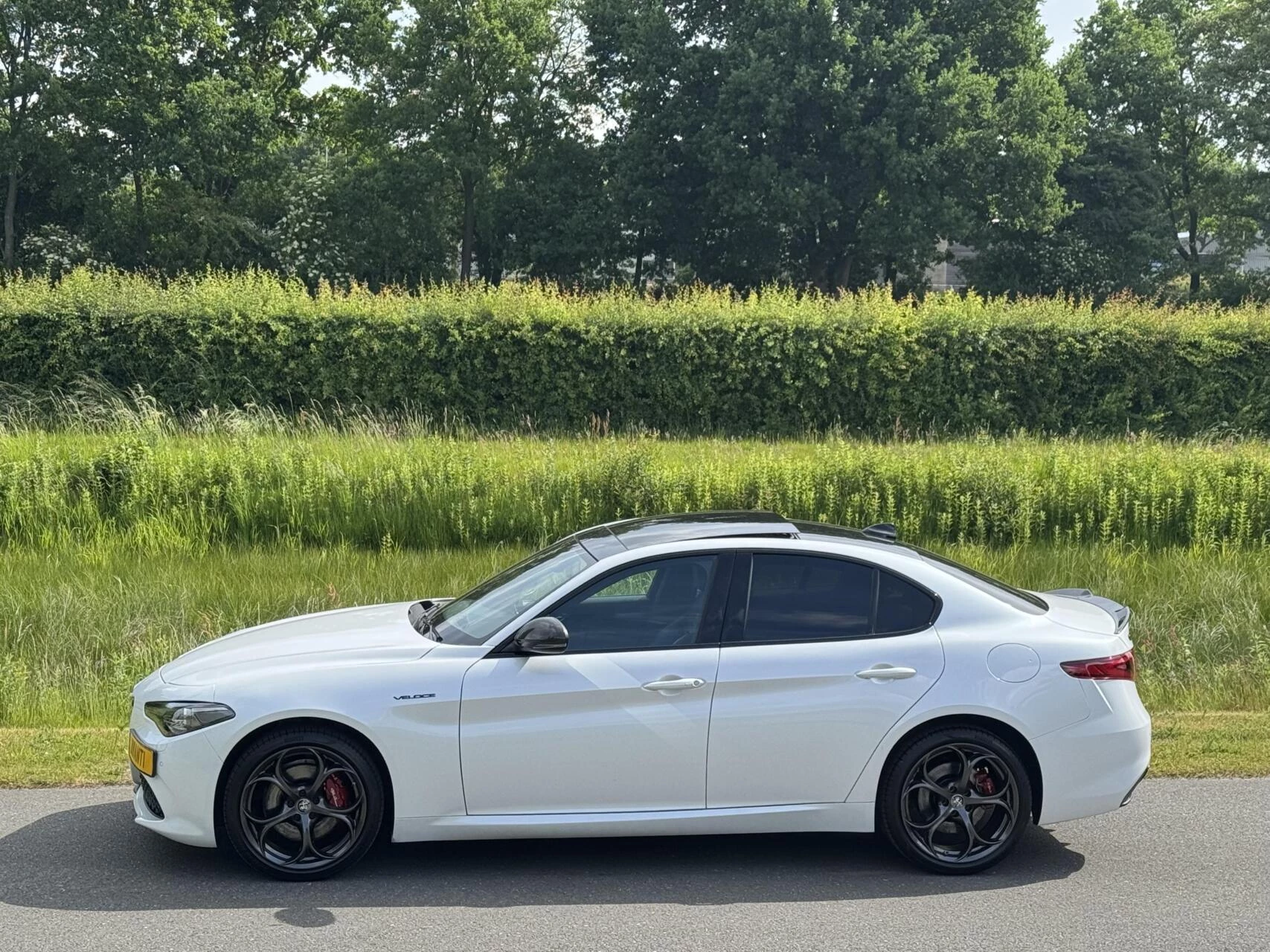 Hoofdafbeelding Alfa Romeo Giulia