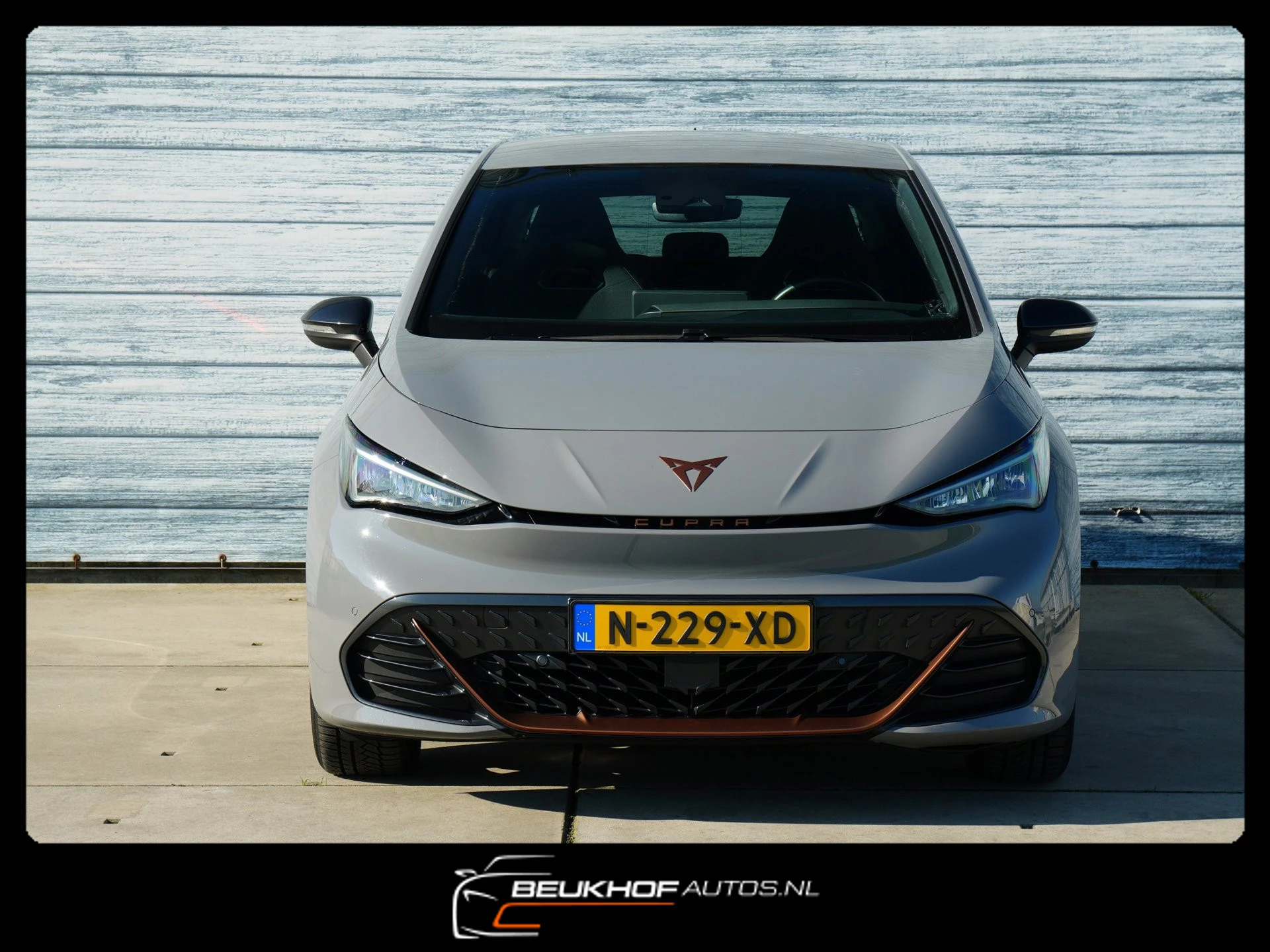 Hoofdafbeelding CUPRA Born