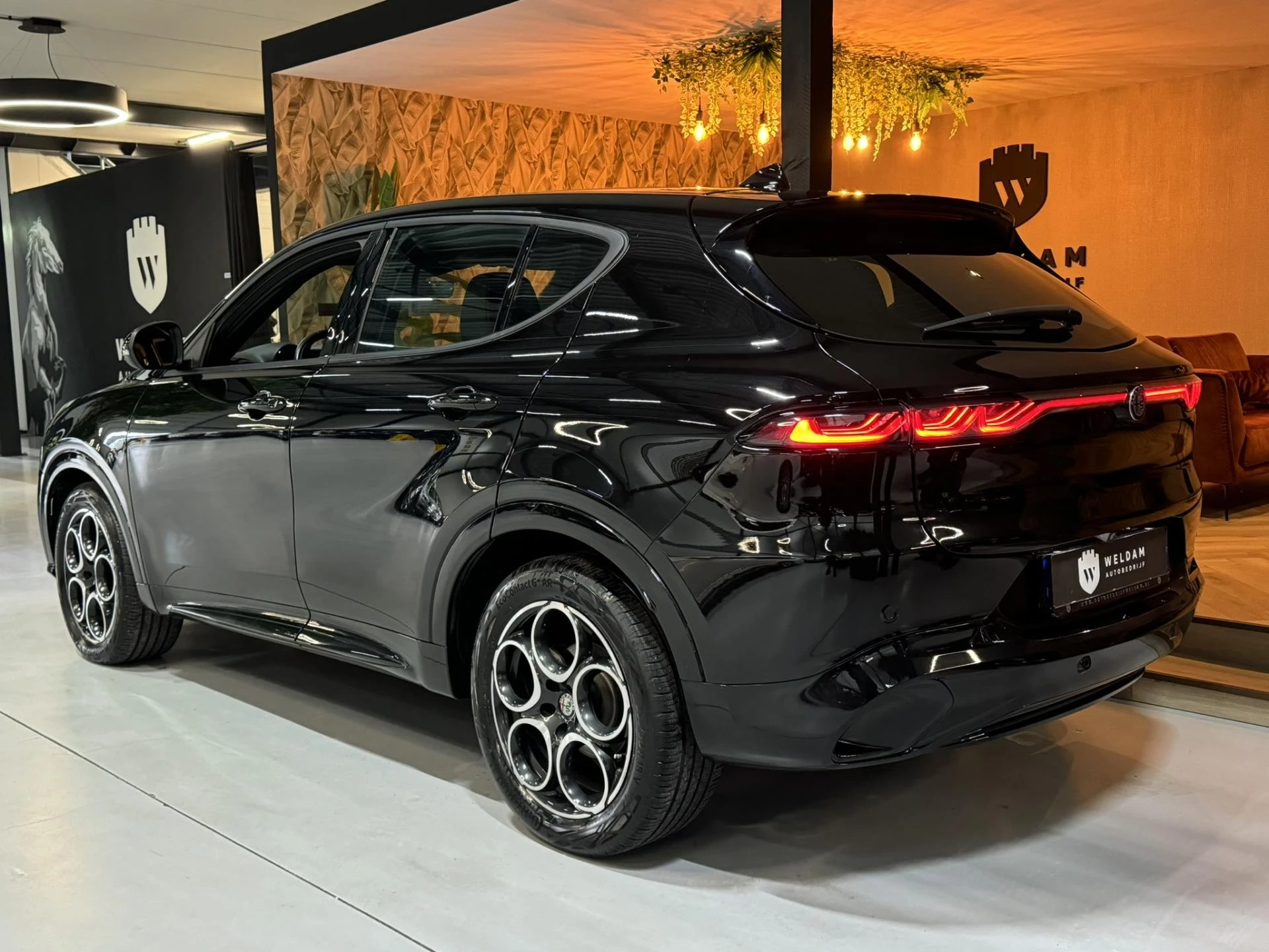 Hoofdafbeelding Alfa Romeo Tonale