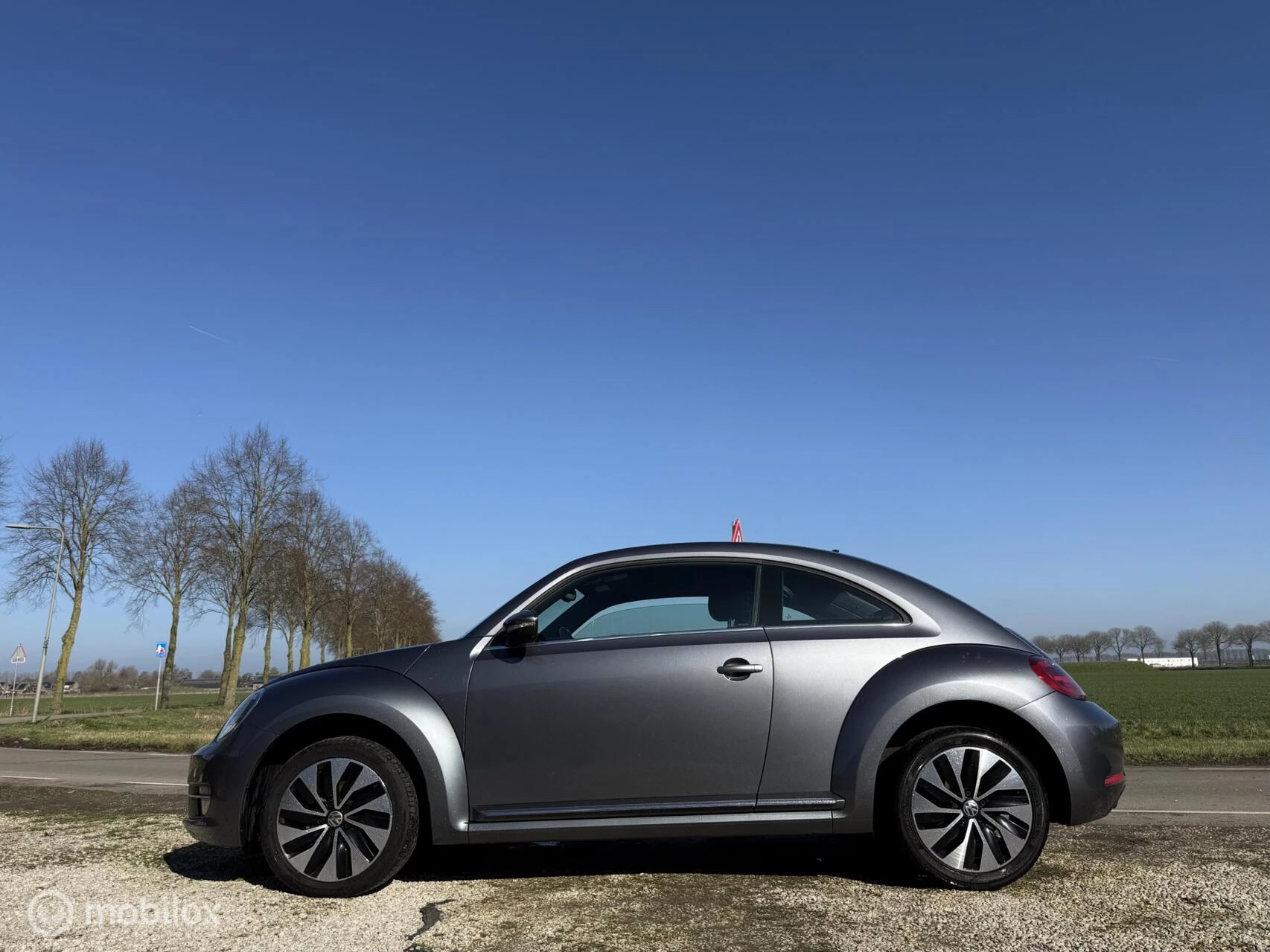 Hoofdafbeelding Volkswagen Beetle