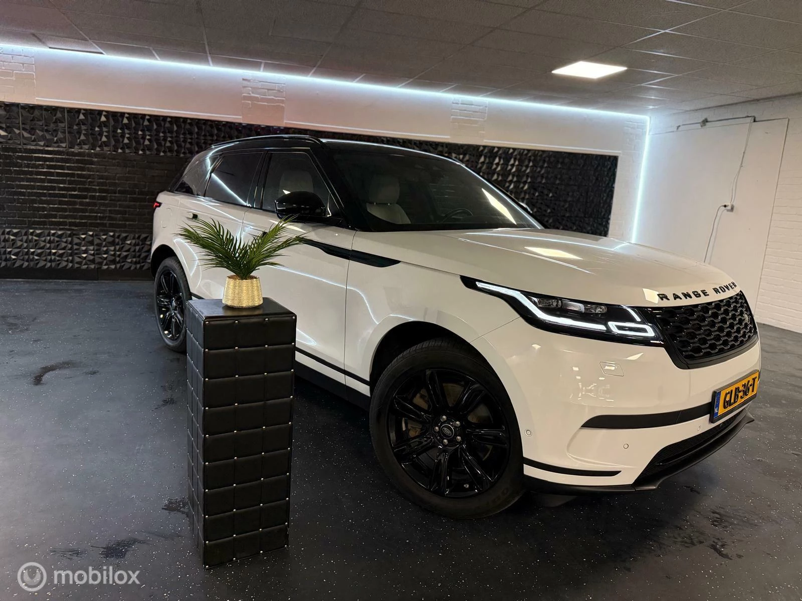 Hoofdafbeelding Land Rover Range Rover Velar