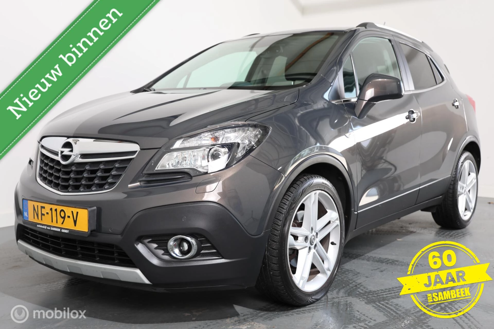 Hoofdafbeelding Opel Mokka