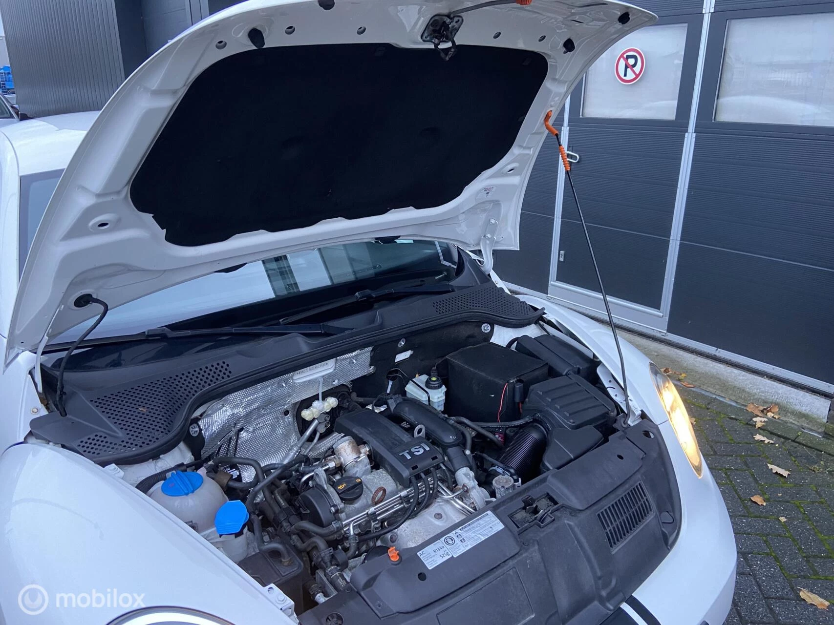 Hoofdafbeelding Volkswagen Beetle