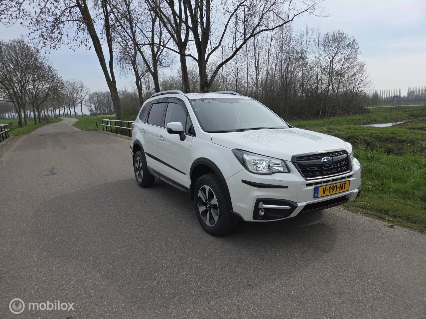 Hoofdafbeelding Subaru Forester